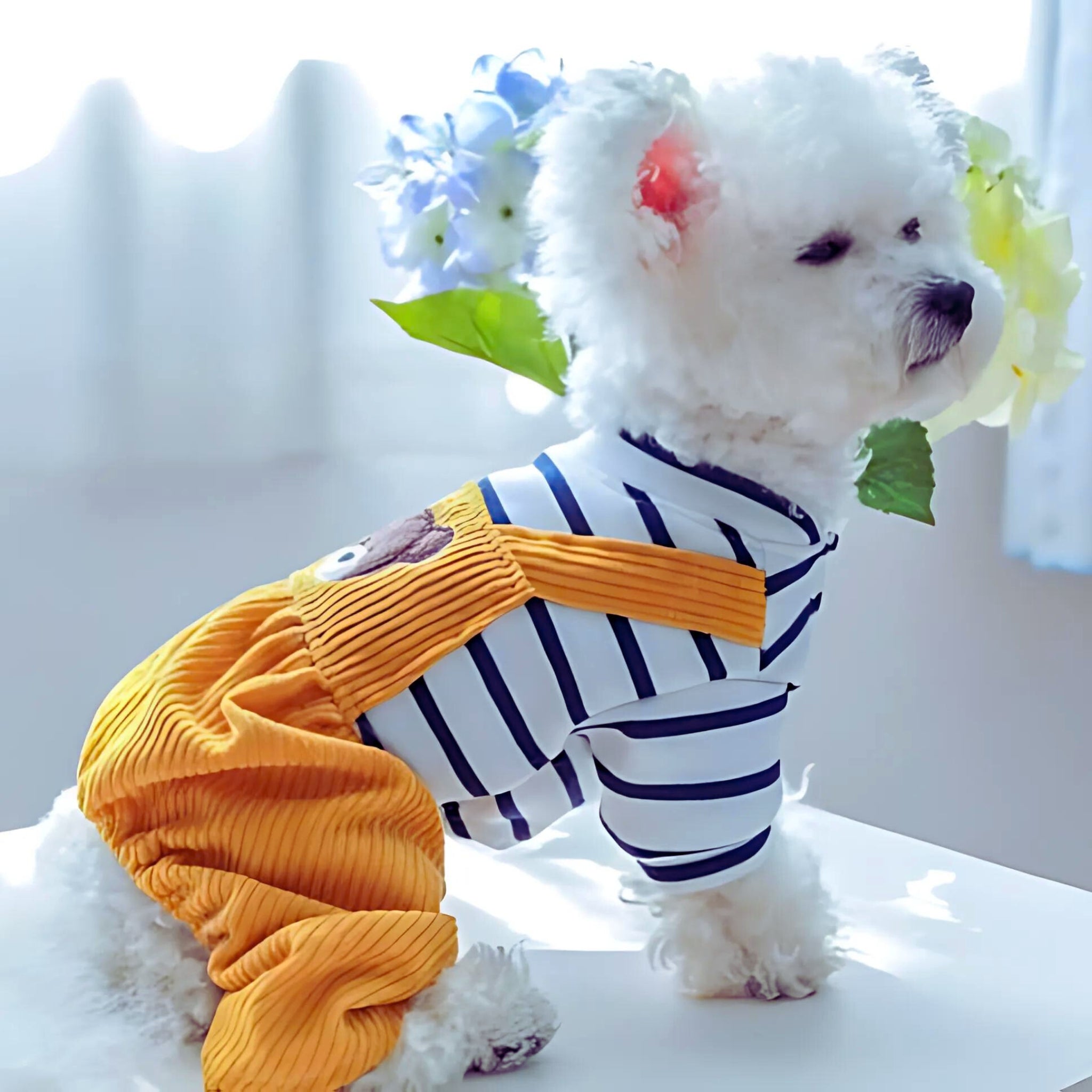 Bread Bear Dog Overalls