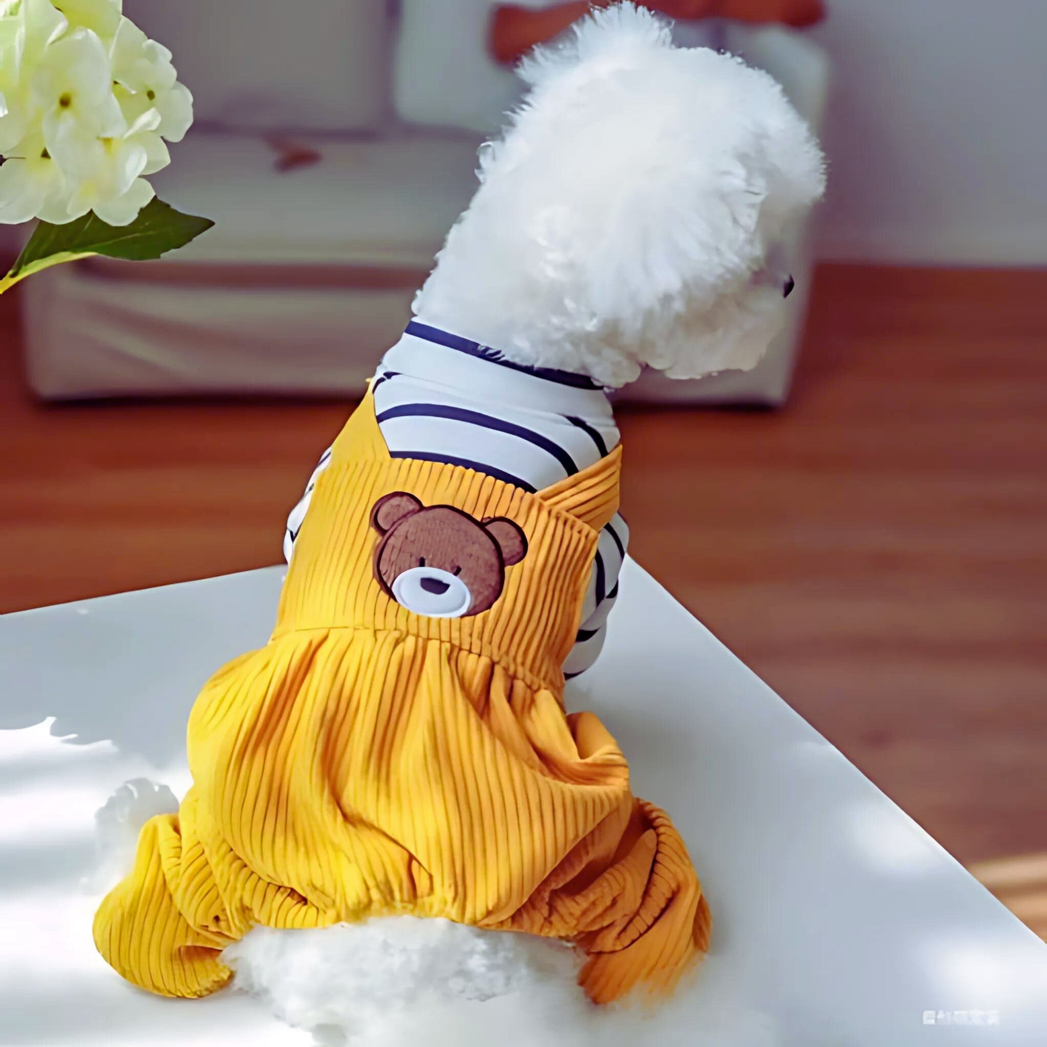 Bread Bear Dog Overalls