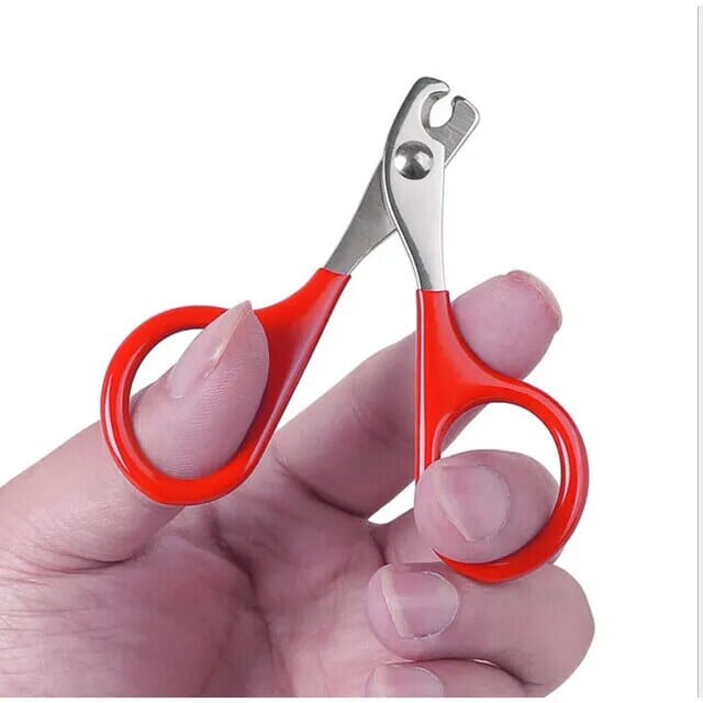 Pet Nail Clippers Nail Clippers USAdrop Red 