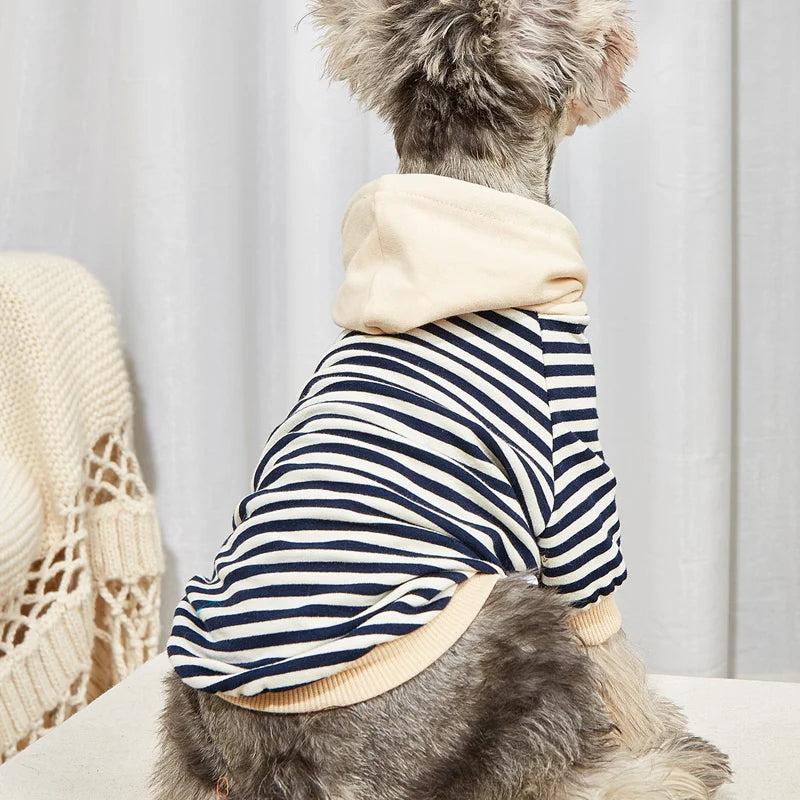 Winter Stripes Dog Clothing Luxe Pet Store 