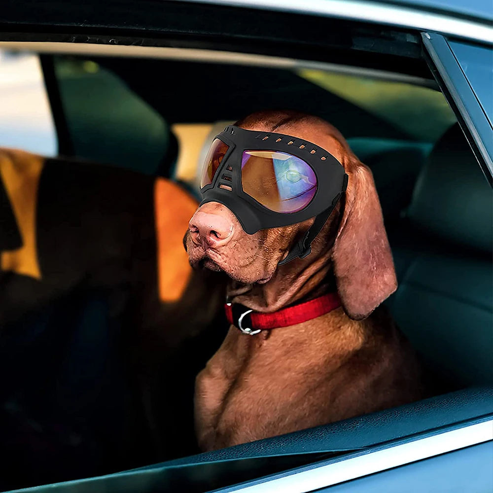 Perfect Shade Pup Goggles