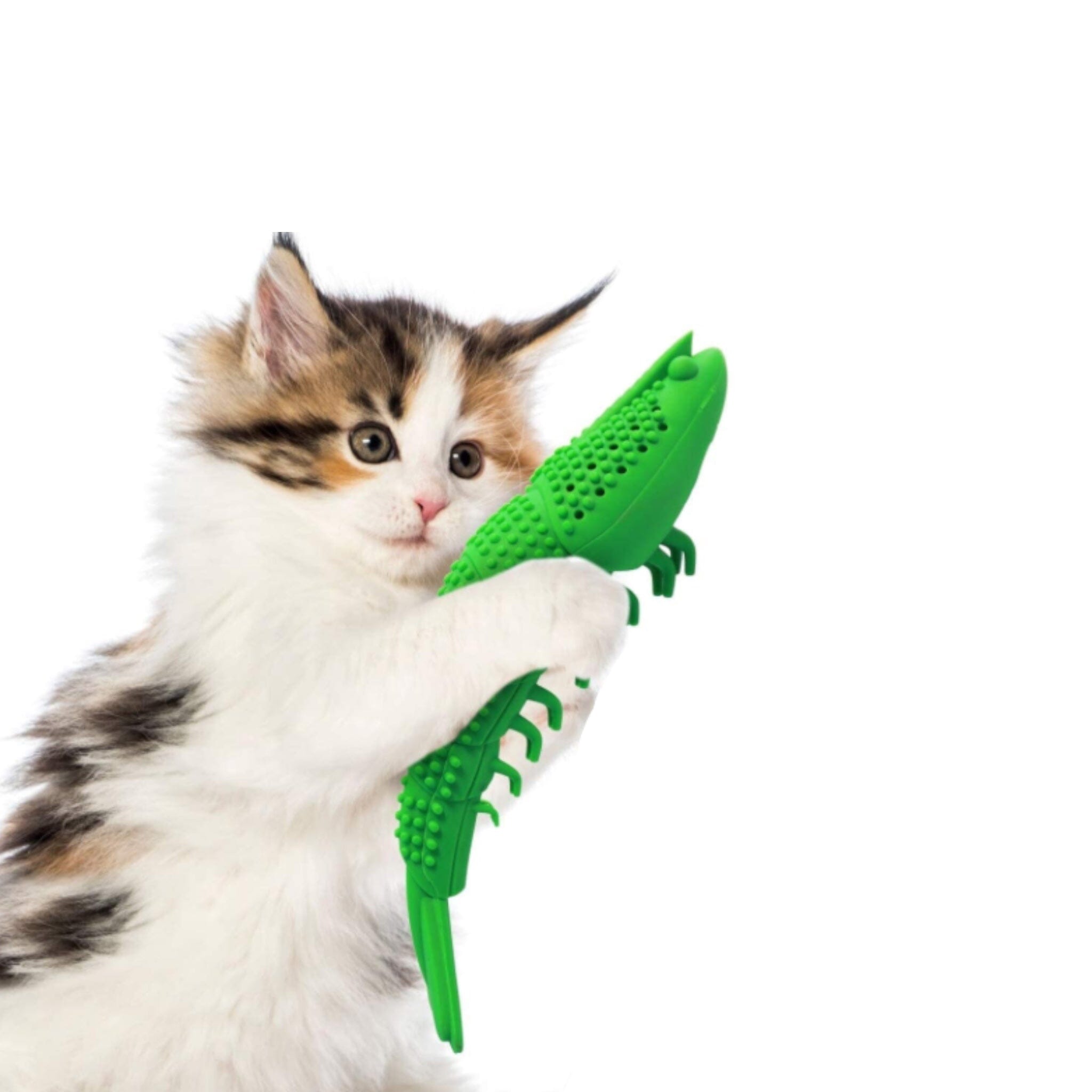 Cat Toothbrush Chew Toy