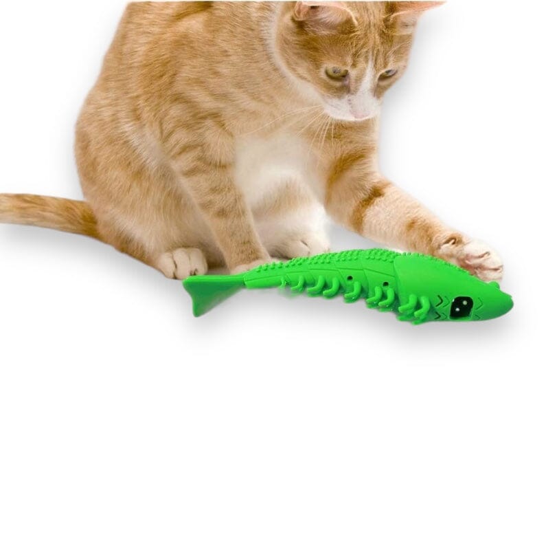 Purrly Whites Pal Cat Toy USAdrop 