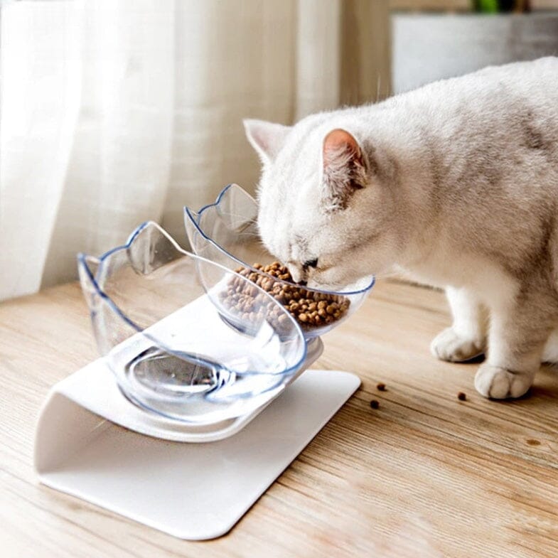 Crystal Clear Kitty Dish cat bowl USAdrop 