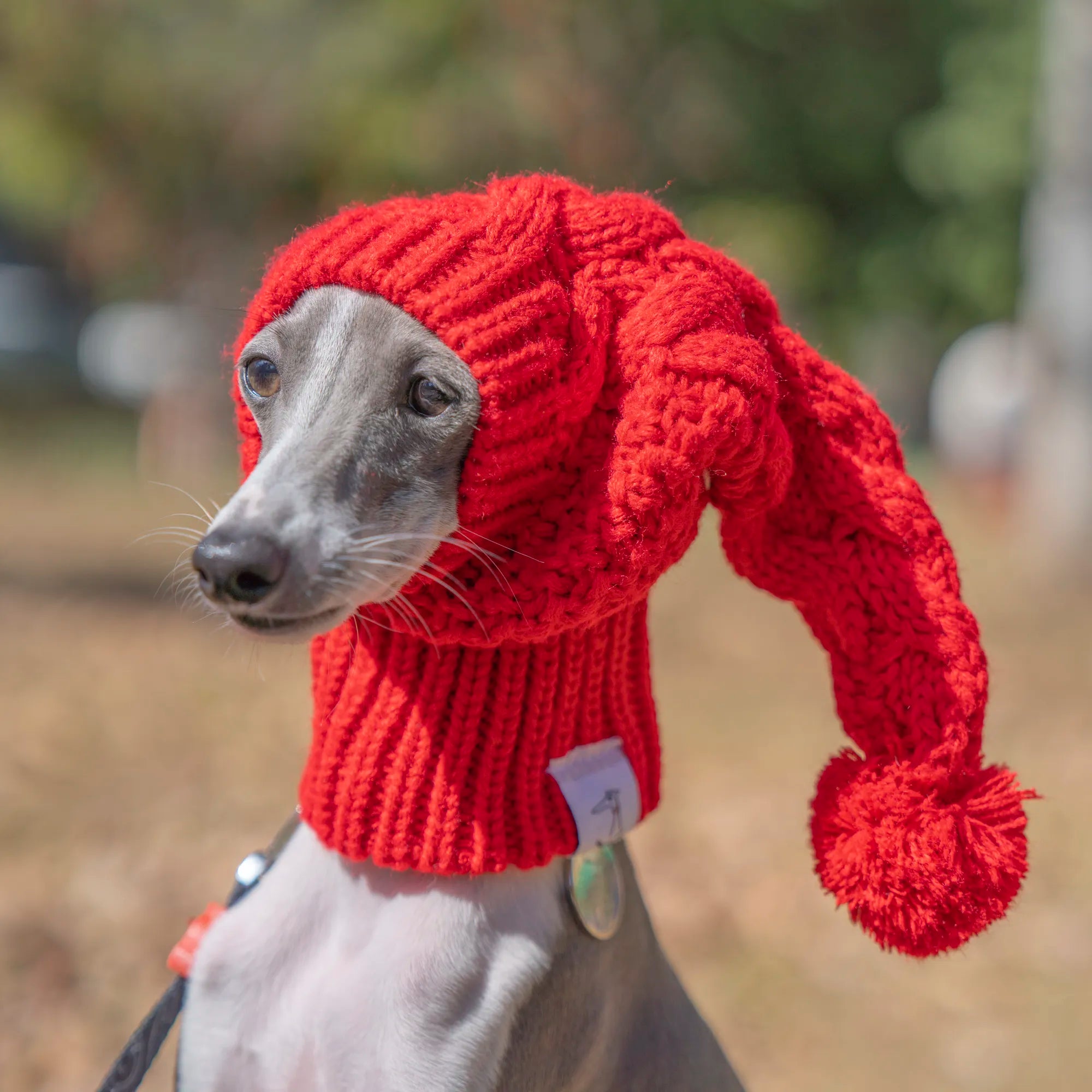 Festive Furball Beanie