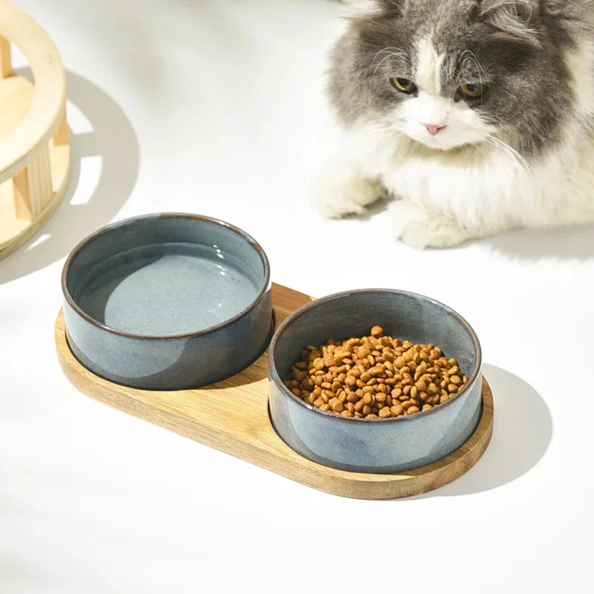 Modern Pet Dining Bowl Luxe Pet Store | Tiny. Pure. Love. 