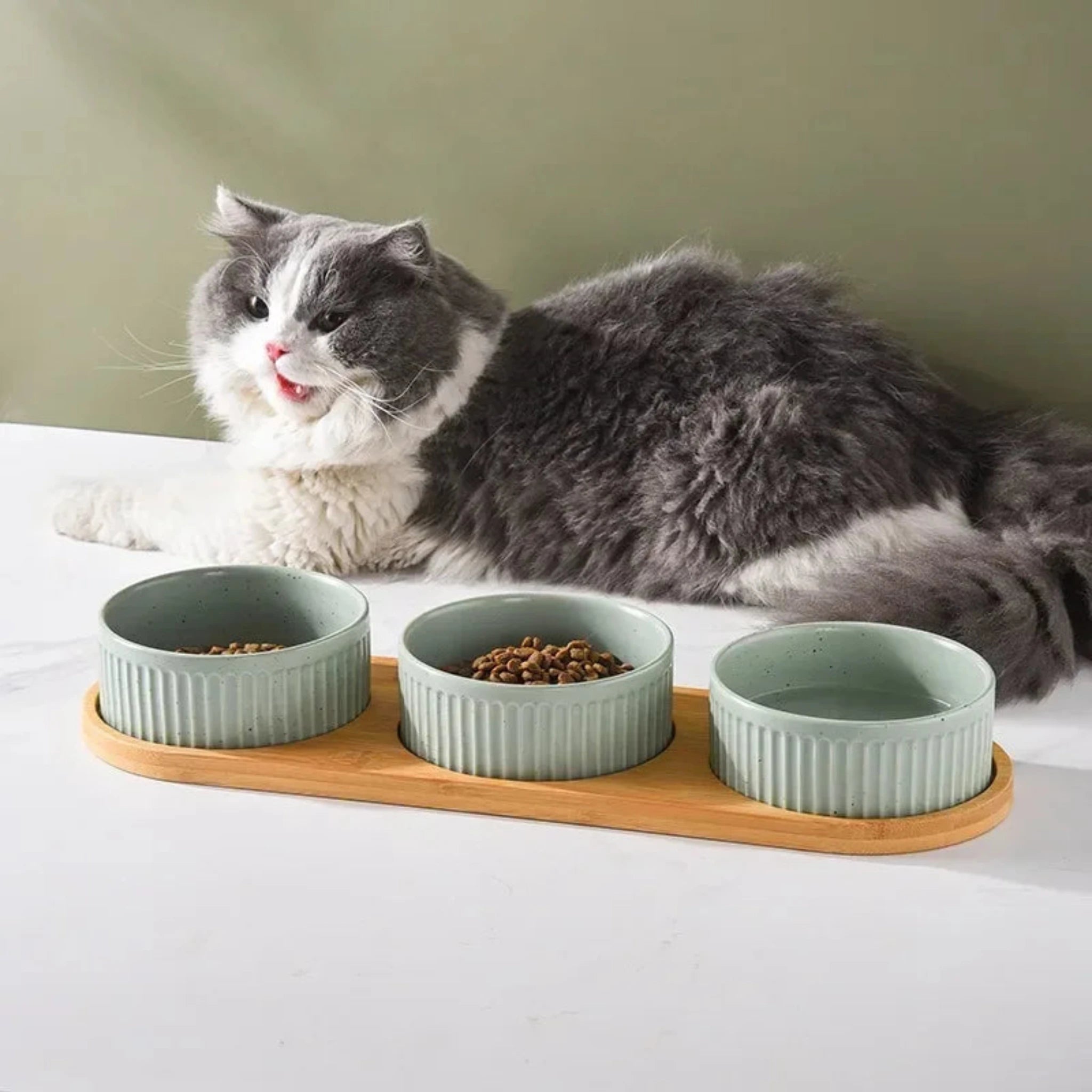 Happy Snack Bowls Luxe Pet Store | Tiny. Pure. Love. 