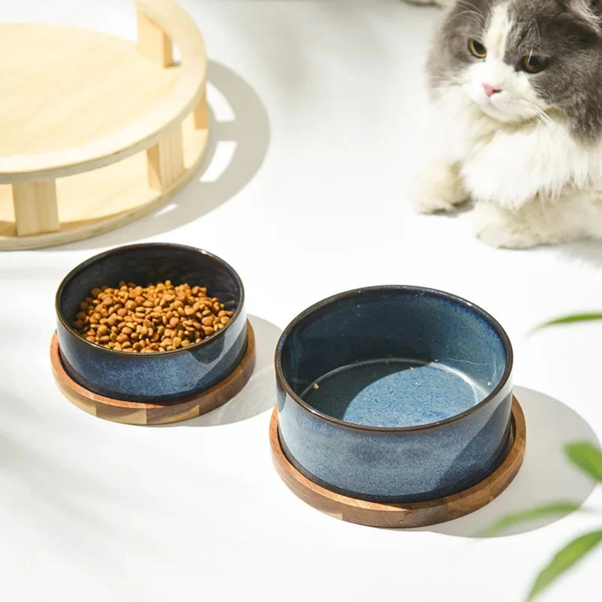 Modern Pet Dining Bowl Luxe Pet Store | Tiny. Pure. Love. 