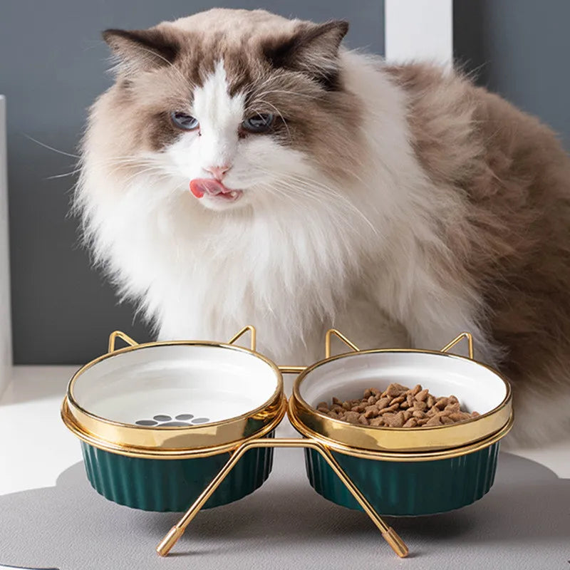 Charm Paws Elevated Feast Station