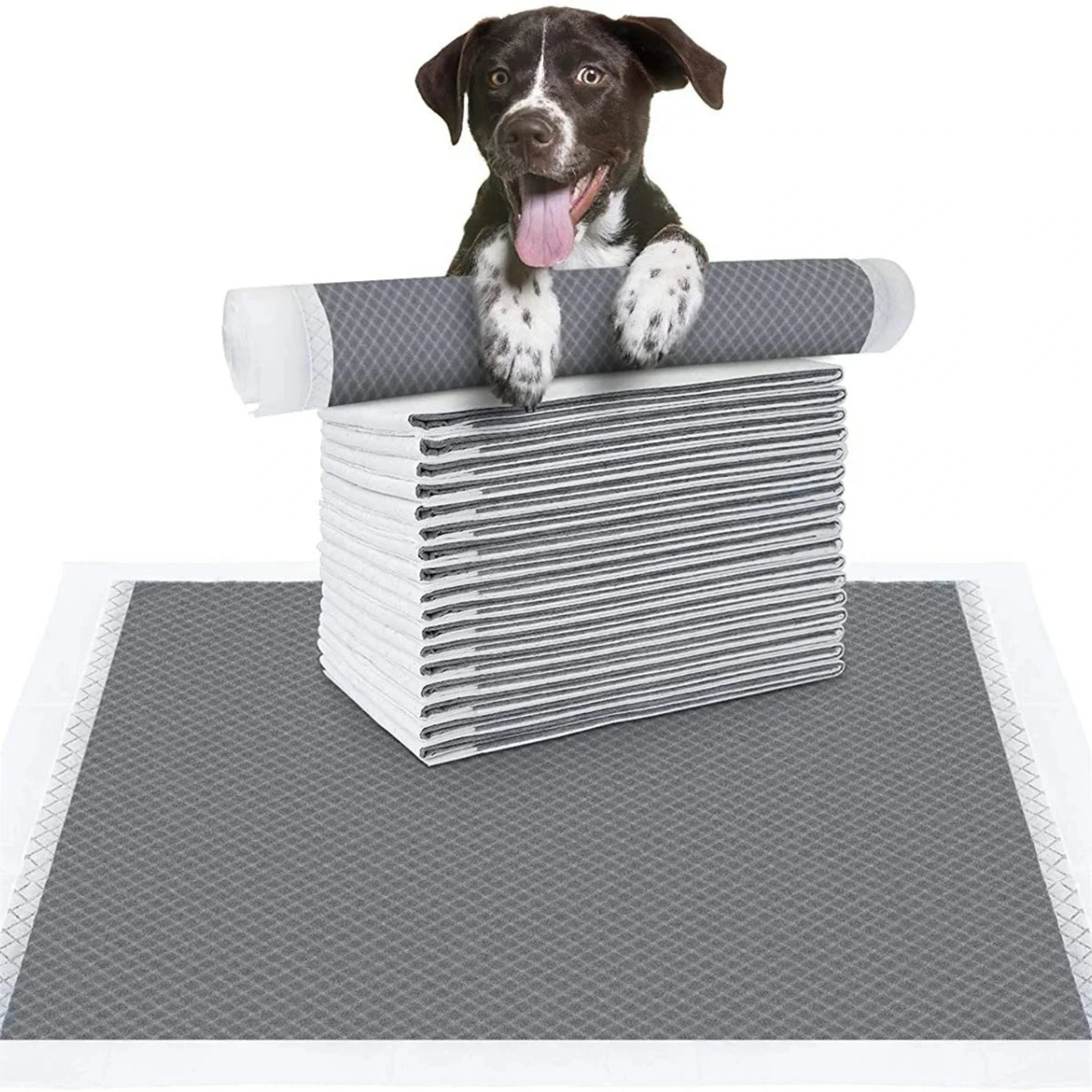 Pee Guard Pad Luxe Pet Store | Tiny. Pure. Love. 