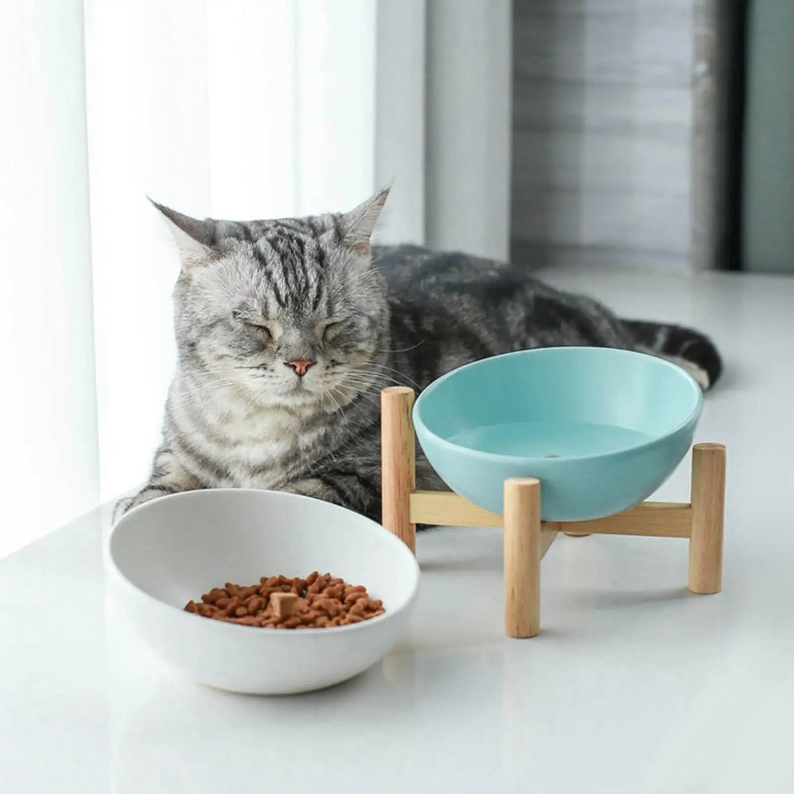 Elevated Ease Bowl cat bowl Luxe Pet Store 