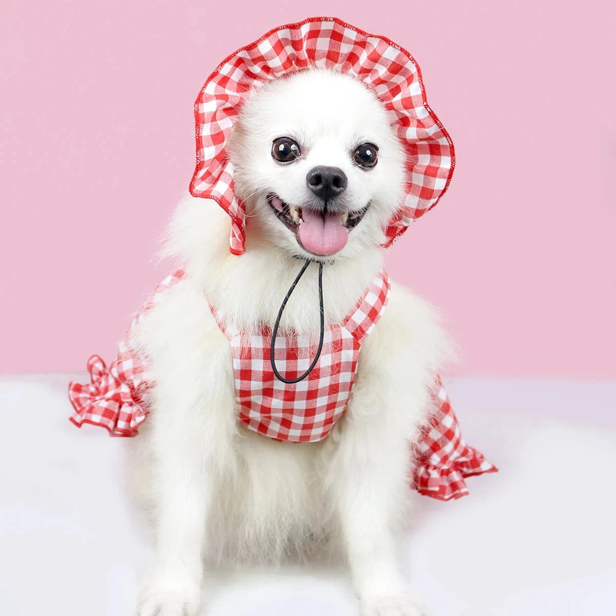 Pet Dress Cute Skirt Spring & Summer Cat and Dog Clothes For Small Medium Large Dog Poodle Chihuahua Teddy Red Plaid Costumes Luxe Pet Store | Tiny. Pure. Love. 