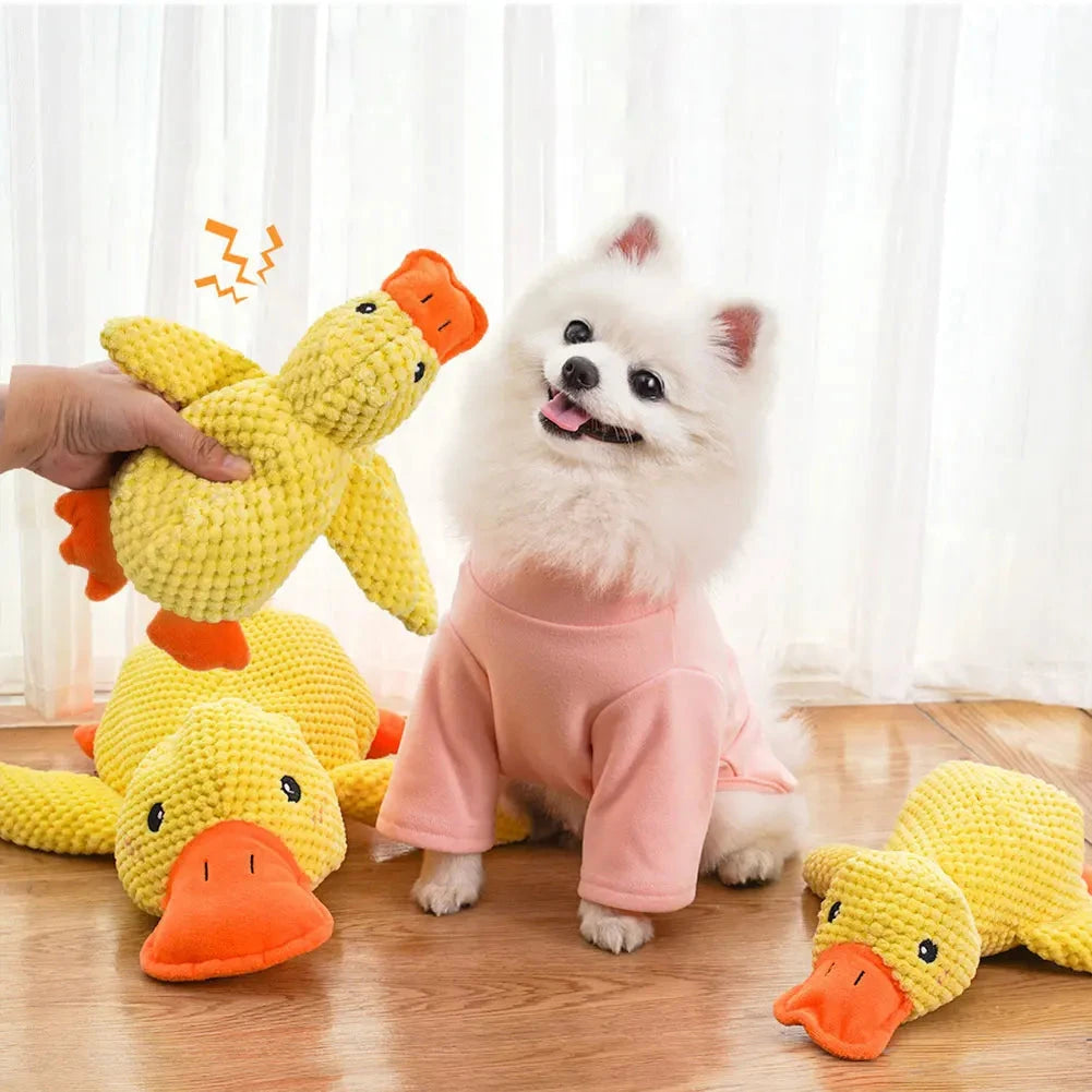 Pup Quack Toy Luxe Pet Store | Tiny. Pure. Love. 