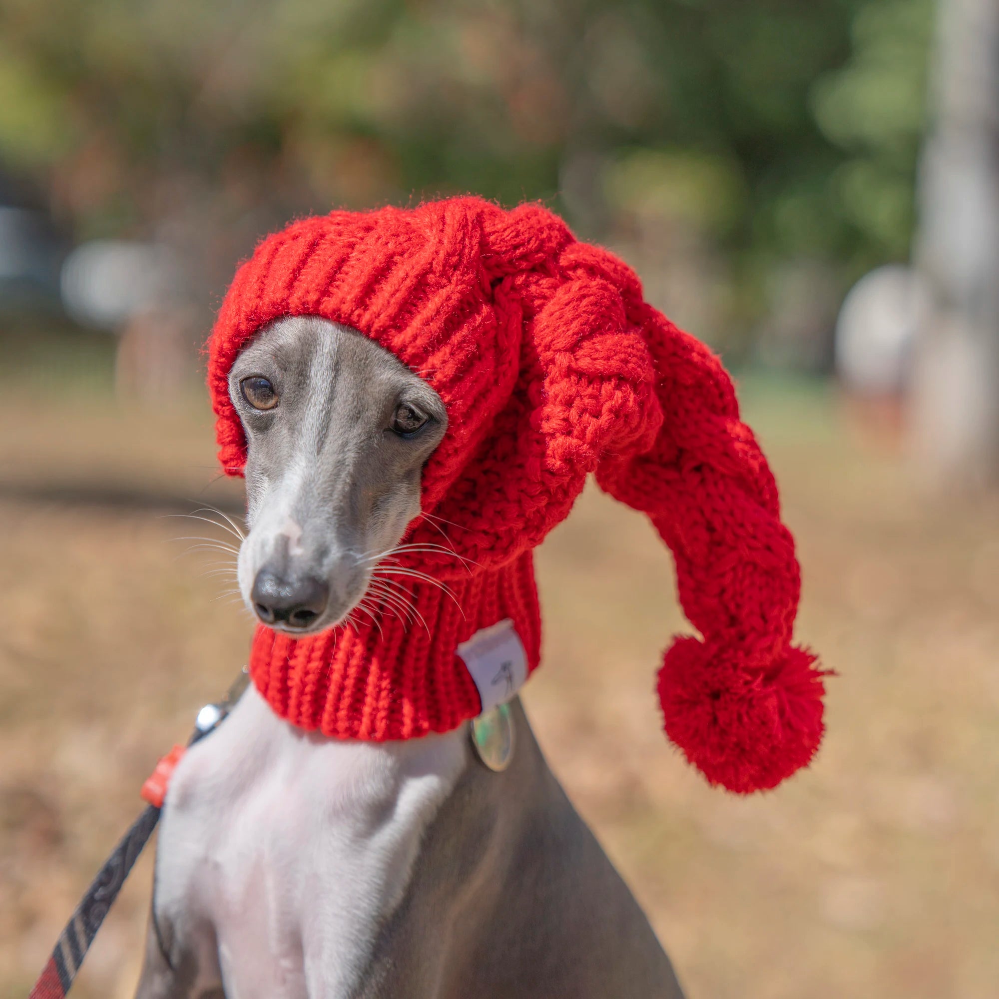 Festive Furball Beanie