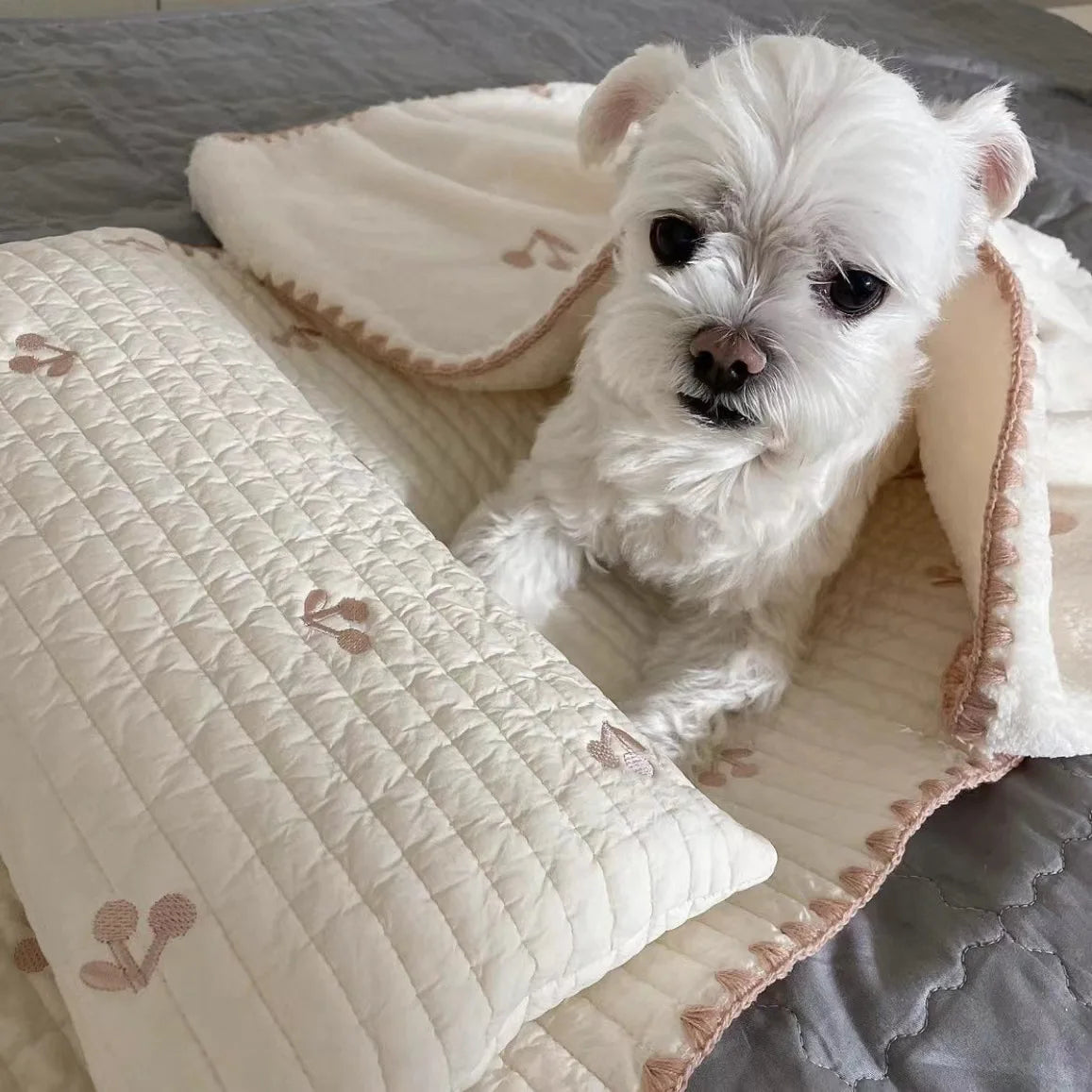 Snuggle Paws Cozy Trio Dog bed Luxe Pet Store 