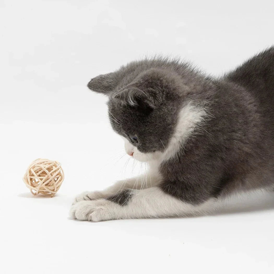 2pcs Cat Toy Pet Rattan Ball Cat Toy Funny Faux Feather Cat Bell Ball Kitten Playing Interactive Ball Toys Pet Supplies Luxe Pet Store | Tiny. Pure. Love. 