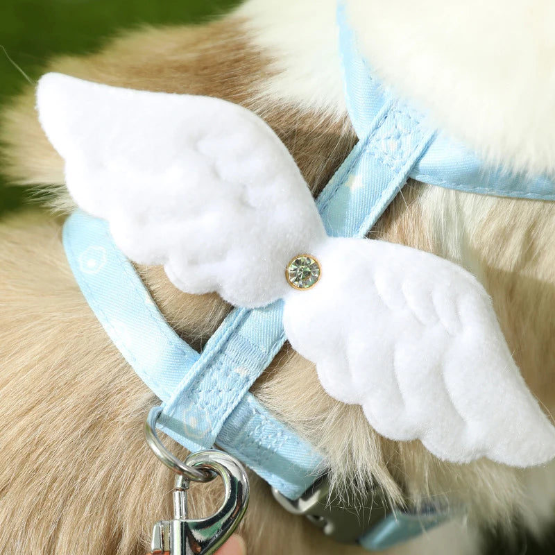 Angel Wing Pet Harness Set Cat Collar Luxe Pet Store 