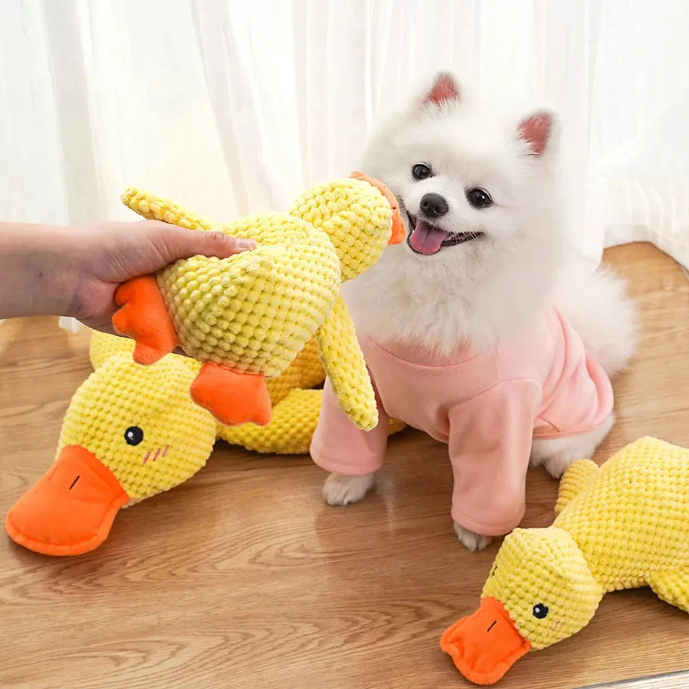 Pup Quack Toy Luxe Pet Store | Tiny. Pure. Love. 