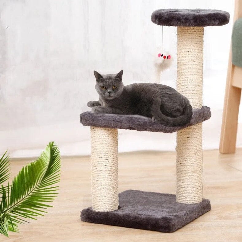 3-Layer Cat Tree Cat Tree Luxe Pet Store 