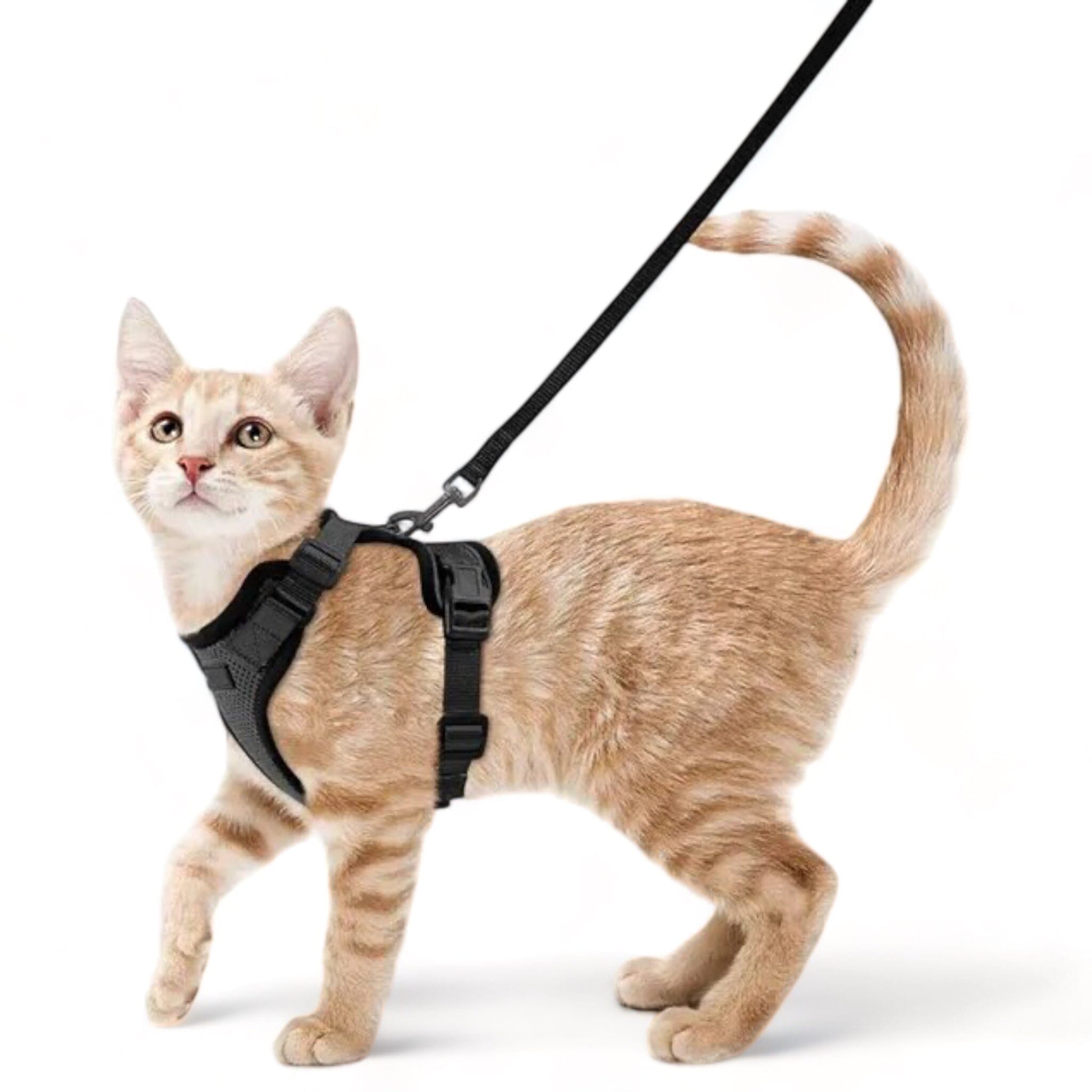 Soft Mesh Pet Harness Soft Cat Harness USAdrop Black XS 