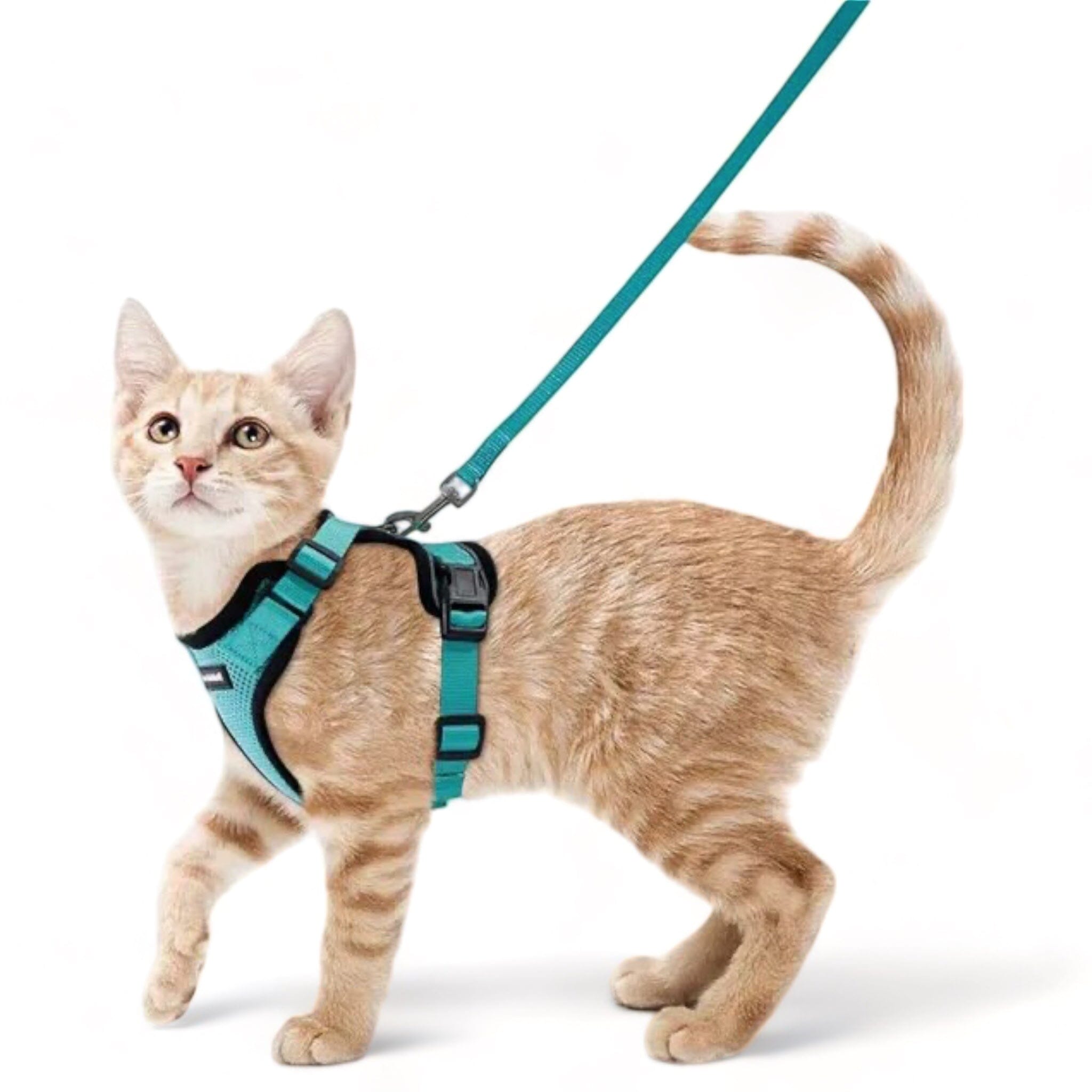 Soft Mesh Pet Harness Soft Cat Harness USAdrop Green XS 