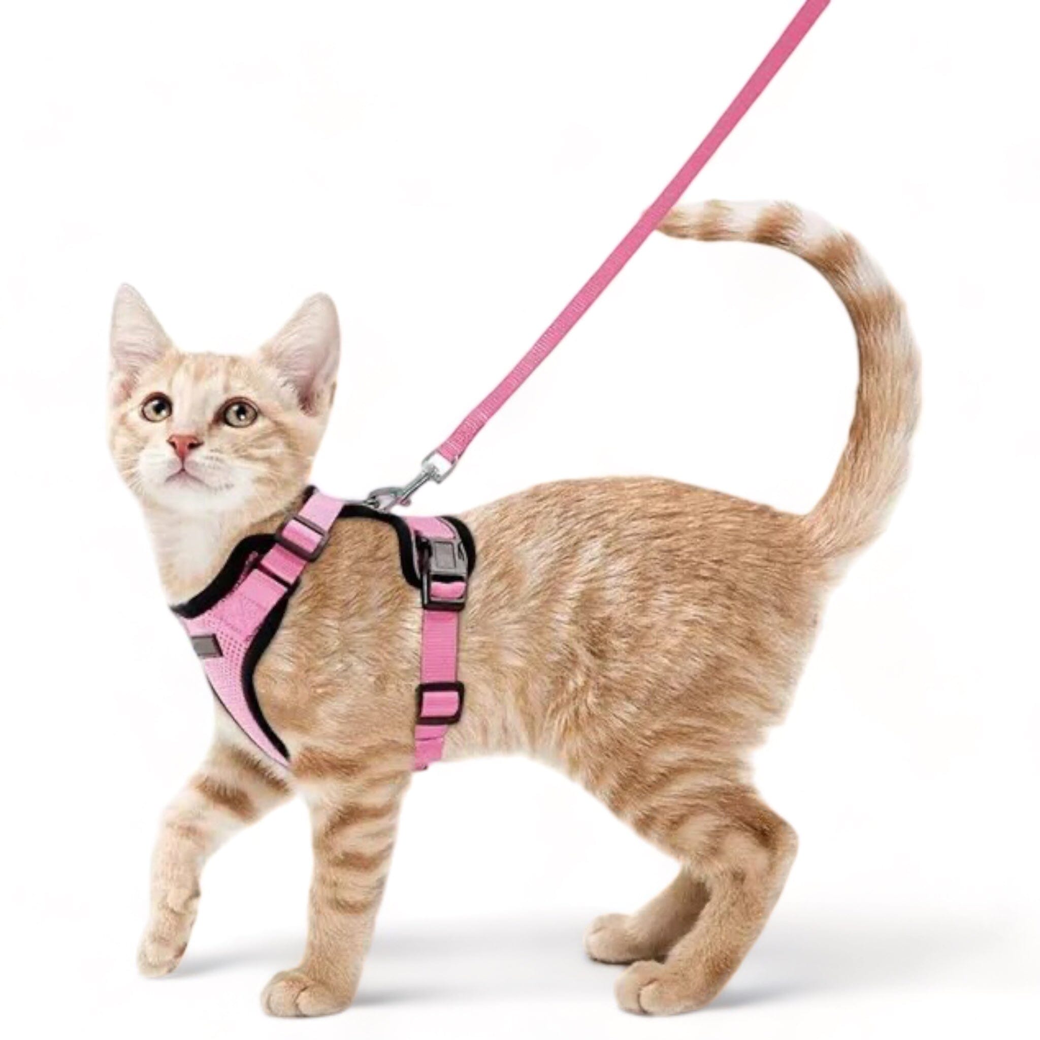 Soft Mesh Pet Harness Soft Cat Harness USAdrop Pink XS 