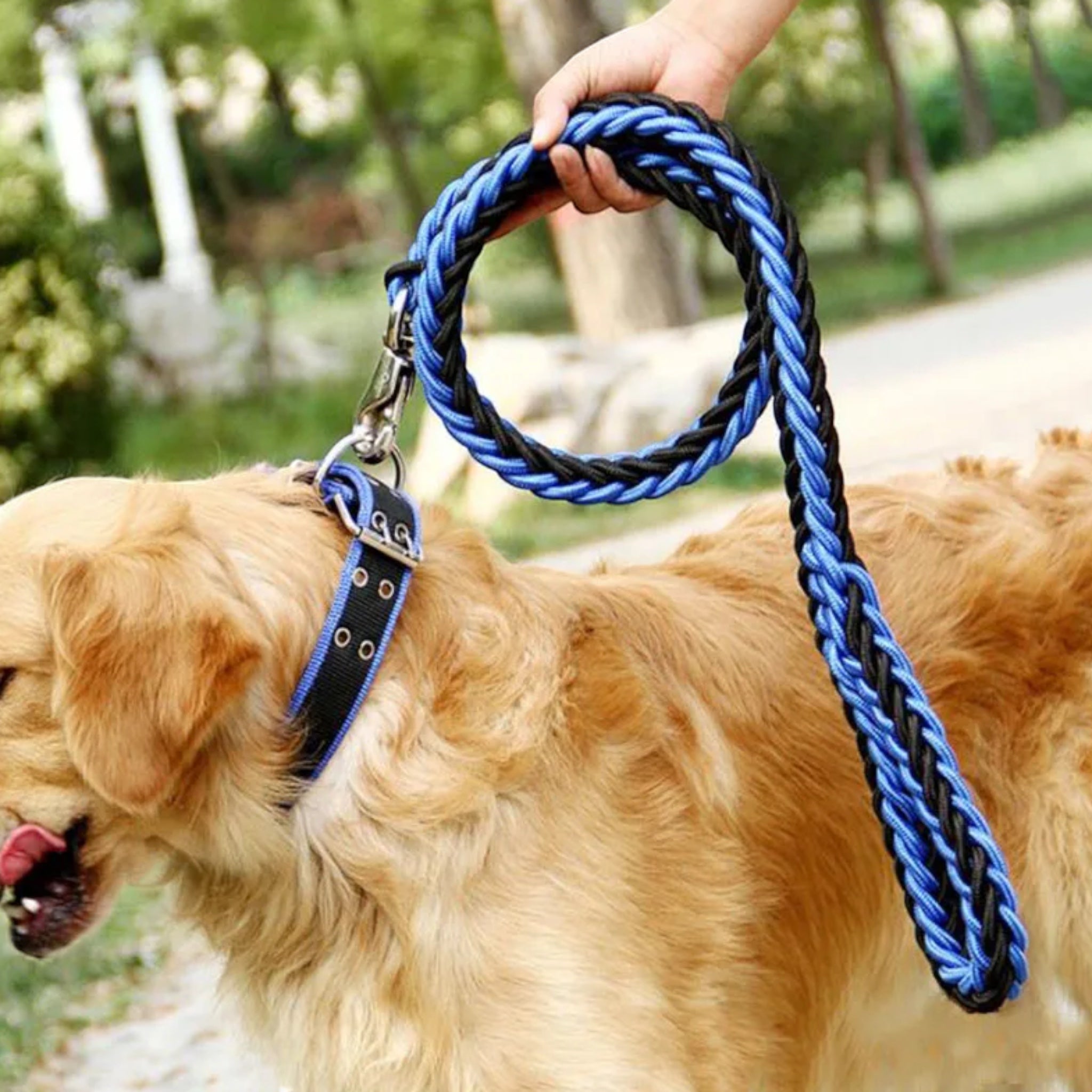 Peak Paws Adventure Leash leash Luxe Pet Store Blue L 