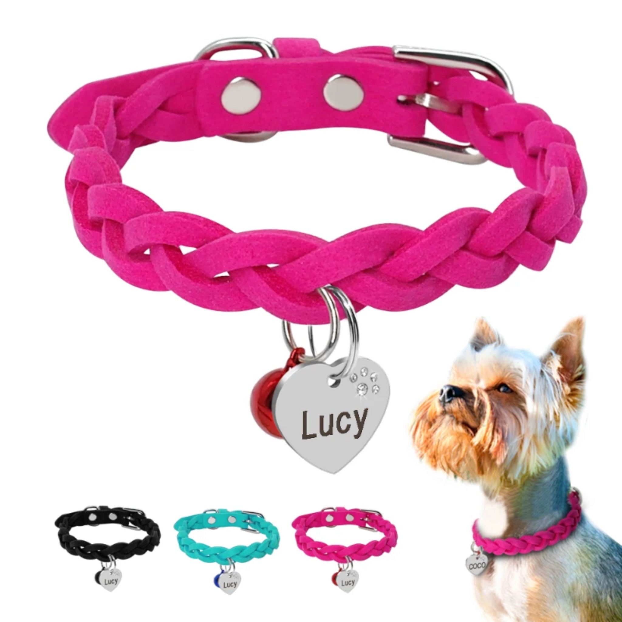 Engrave Paw Collar Set