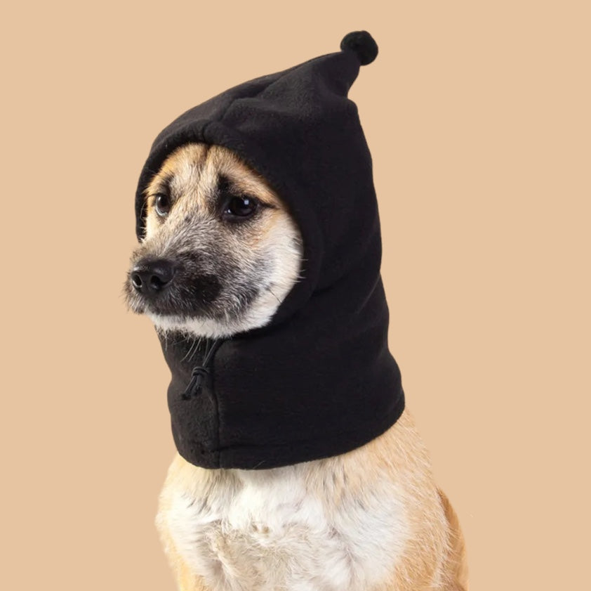 Winter Woofie Beanie