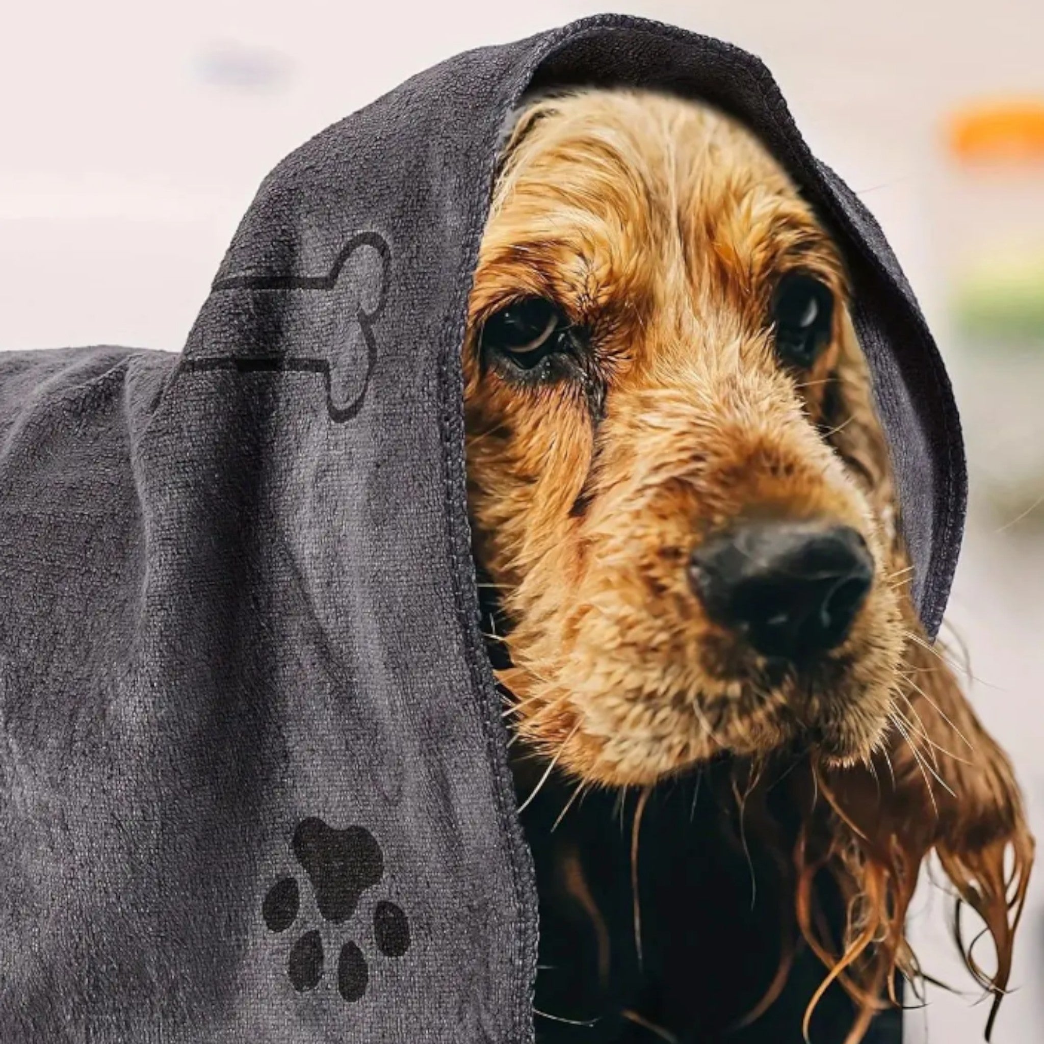 Quick-Drying Pet Towel