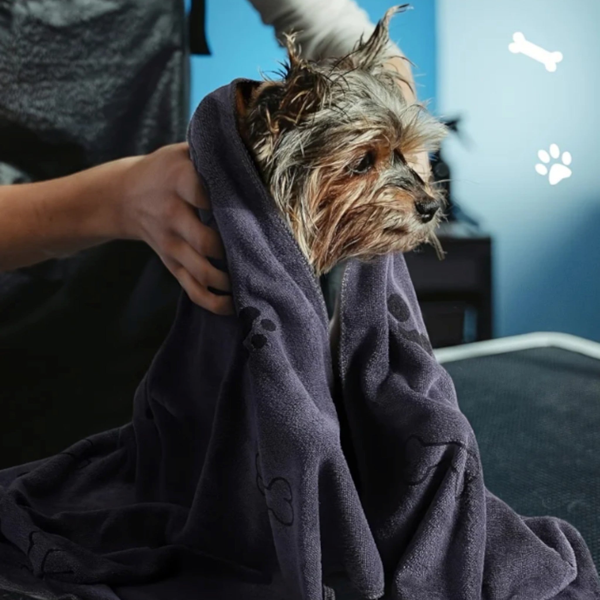 Quick-Drying Pet Towel Pet Towel Luxe Pet Store 