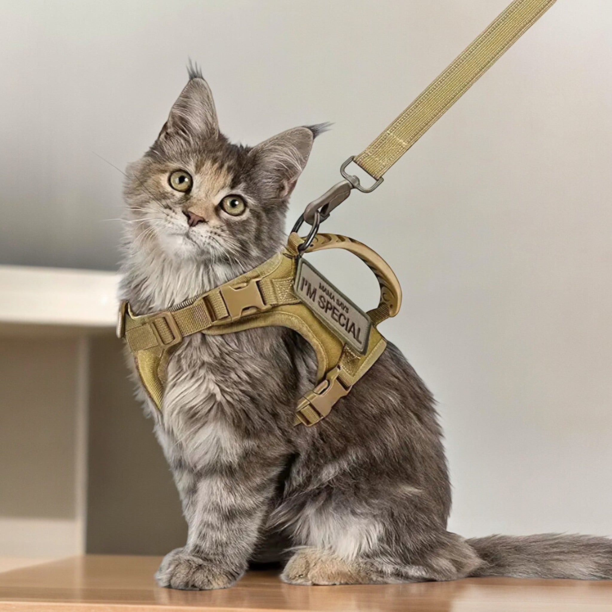 Adventure Cat Harness