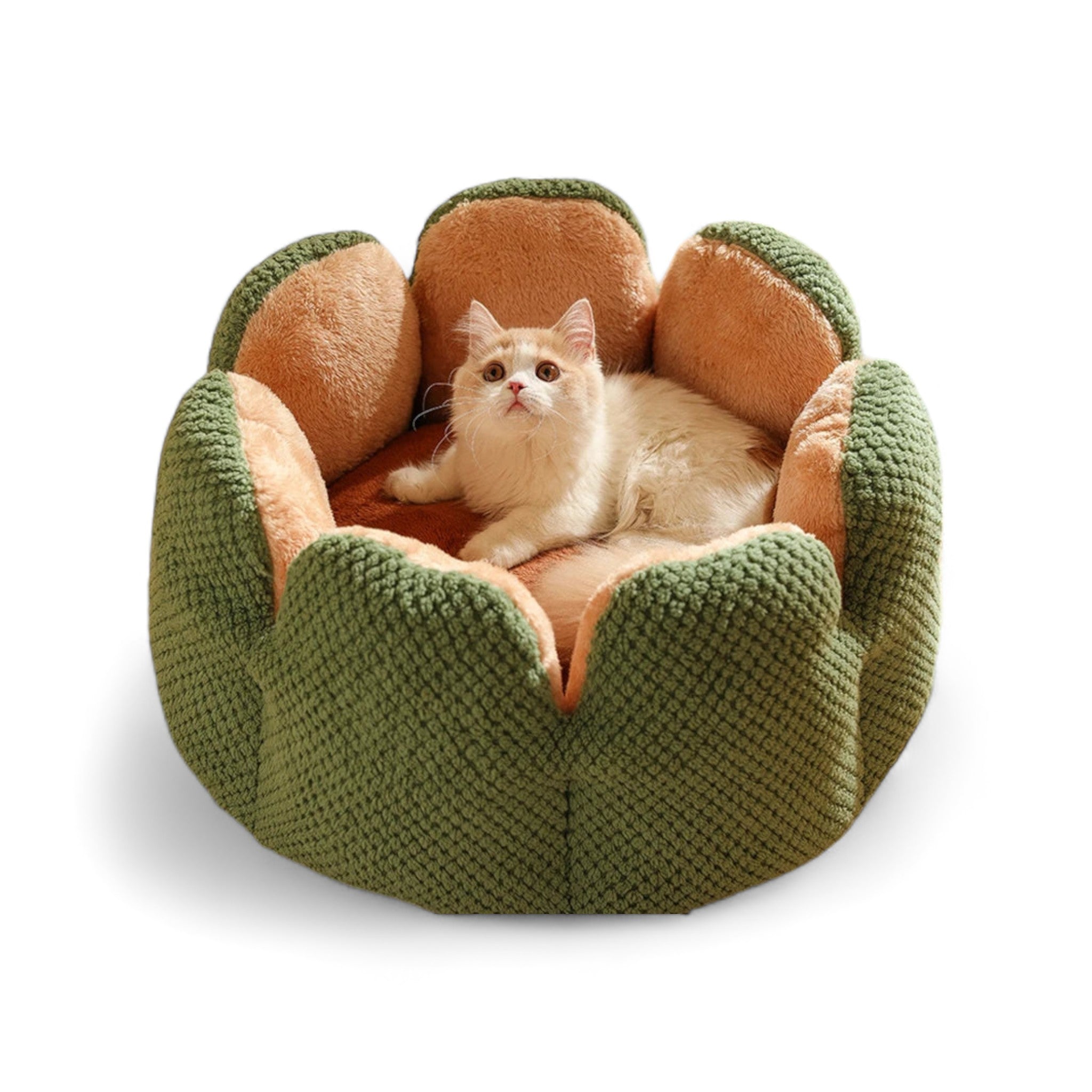 Cozy Cactus Haven Cat Bed Luxe Pet Store Green S 