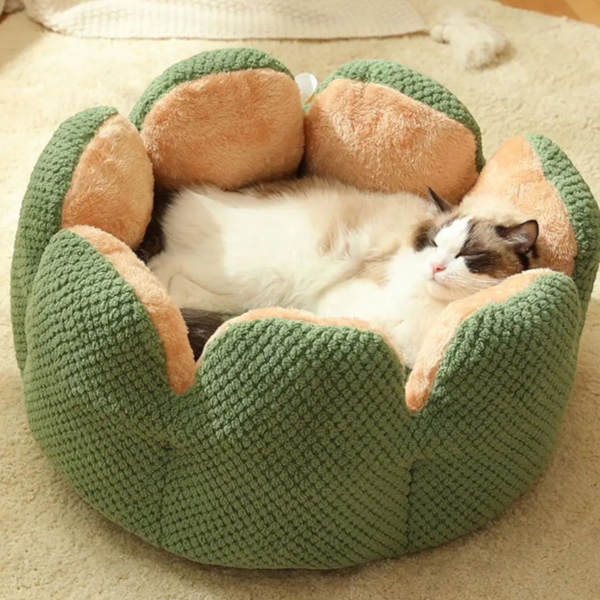 Cozy Cactus Haven Cat Bed Luxe Pet Store 