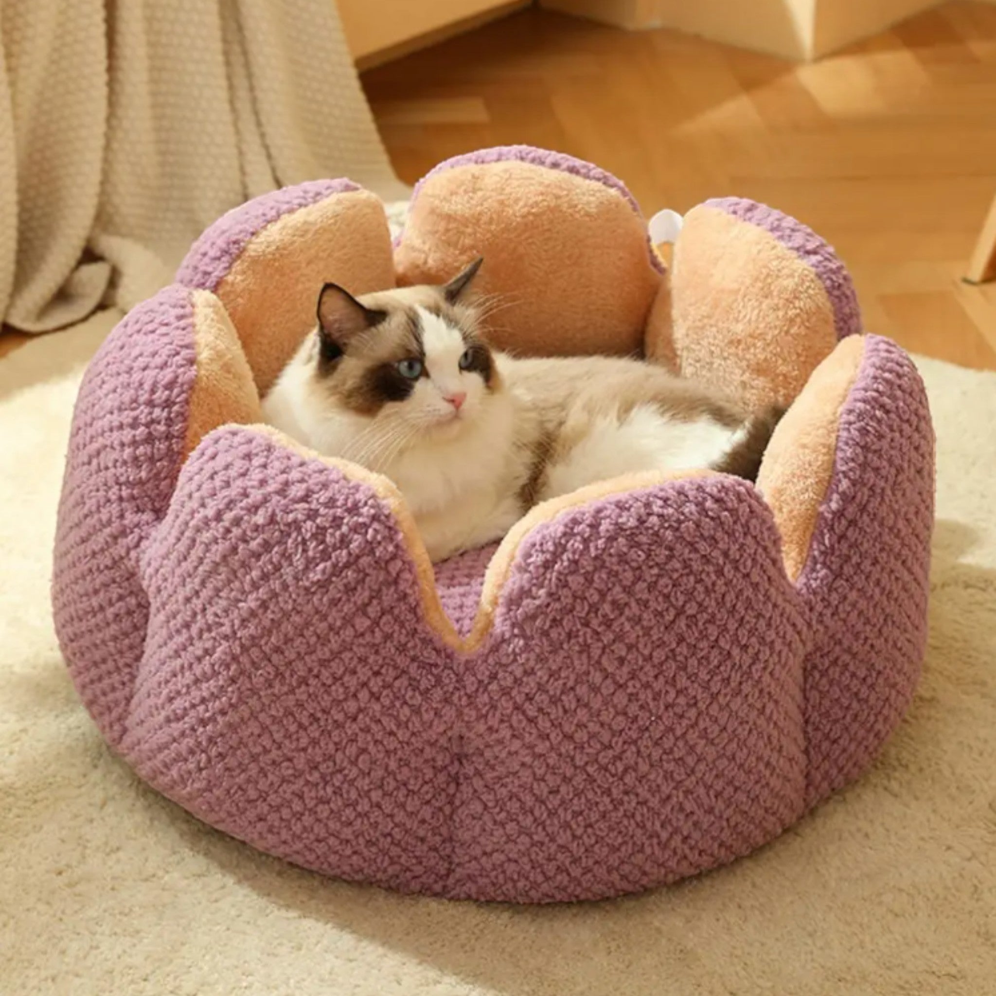 Cozy Cactus Haven Cat Bed Luxe Pet Store 