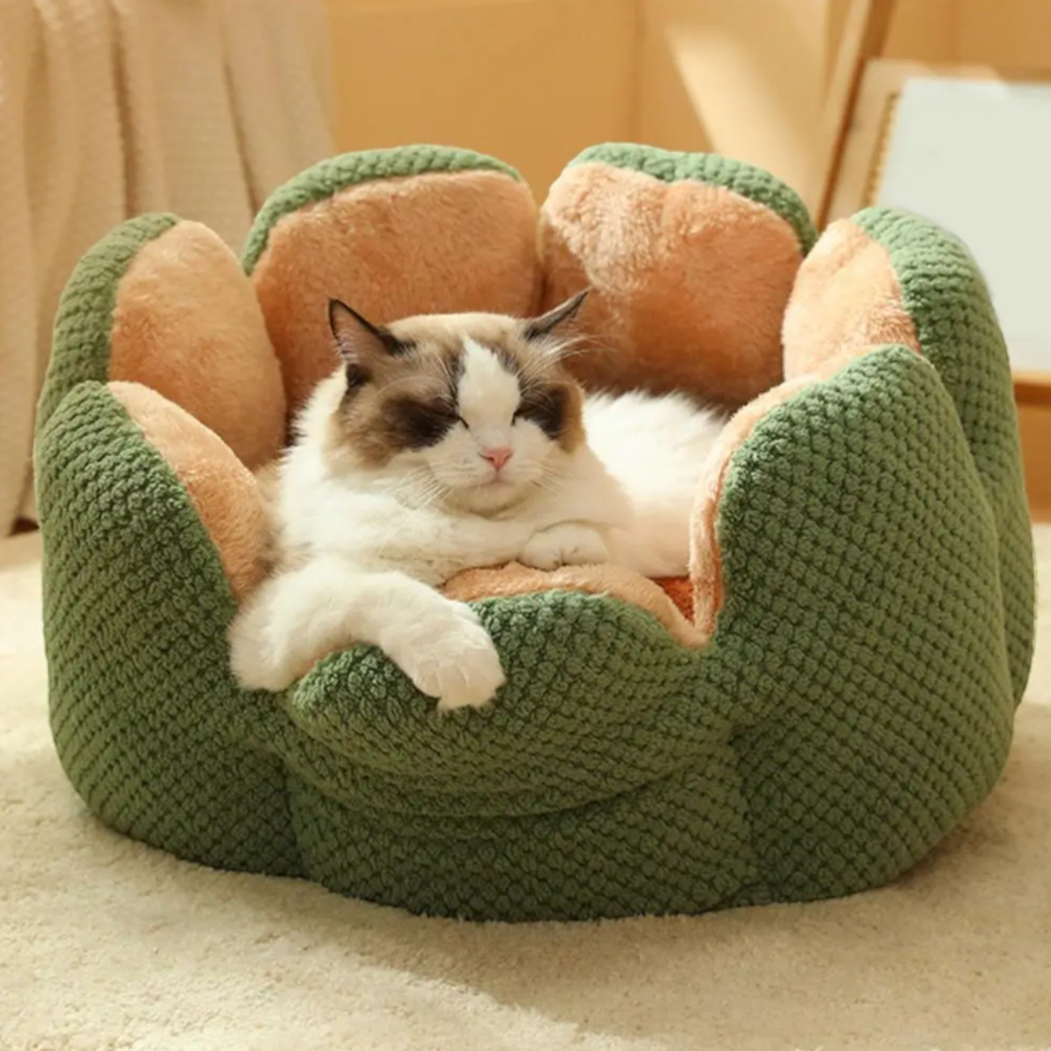 Cozy Cactus Haven Cat Bed Luxe Pet Store 