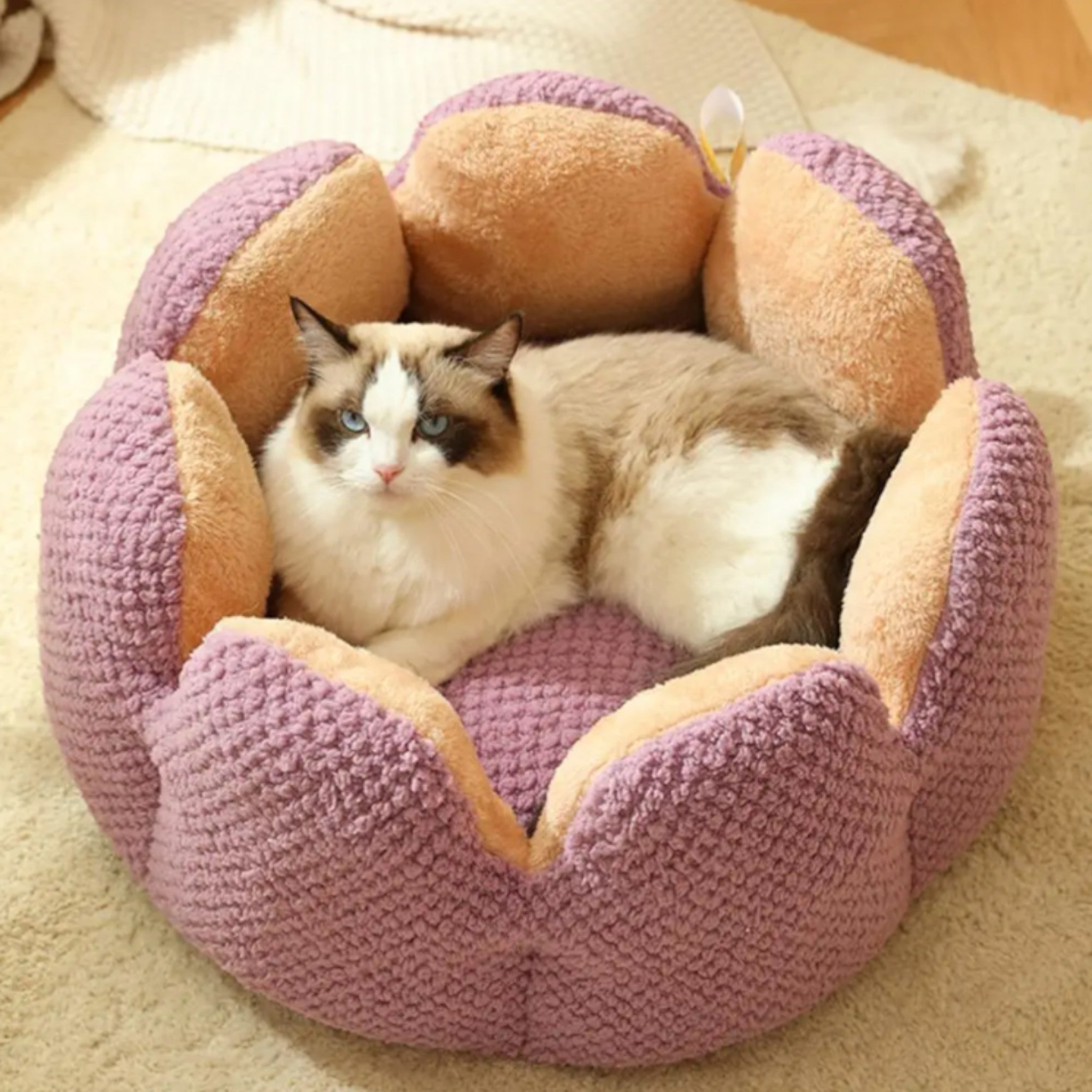 Cozy Cactus Haven Cat Bed Luxe Pet Store 