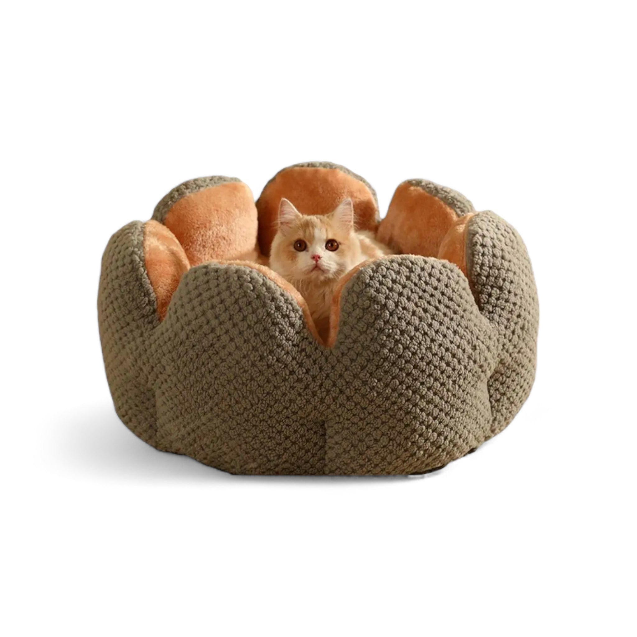 Cozy Cactus Haven Cat Bed Luxe Pet Store Grey S 