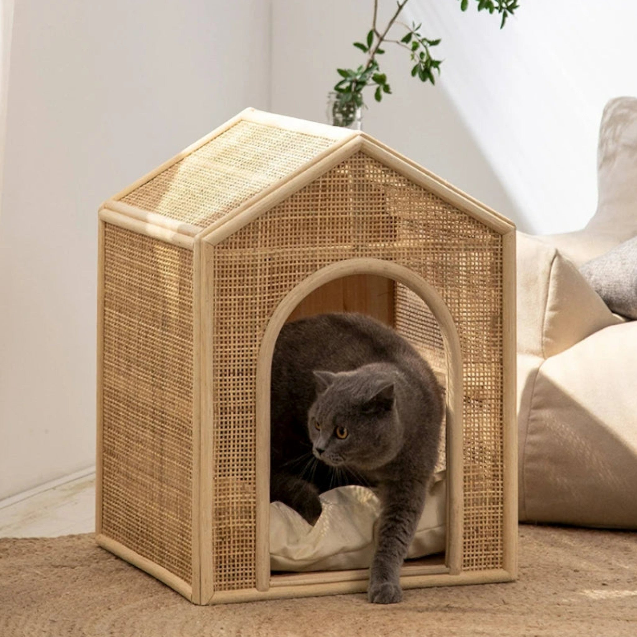 Rattan Breeze Pet House Luxe Pet Store 