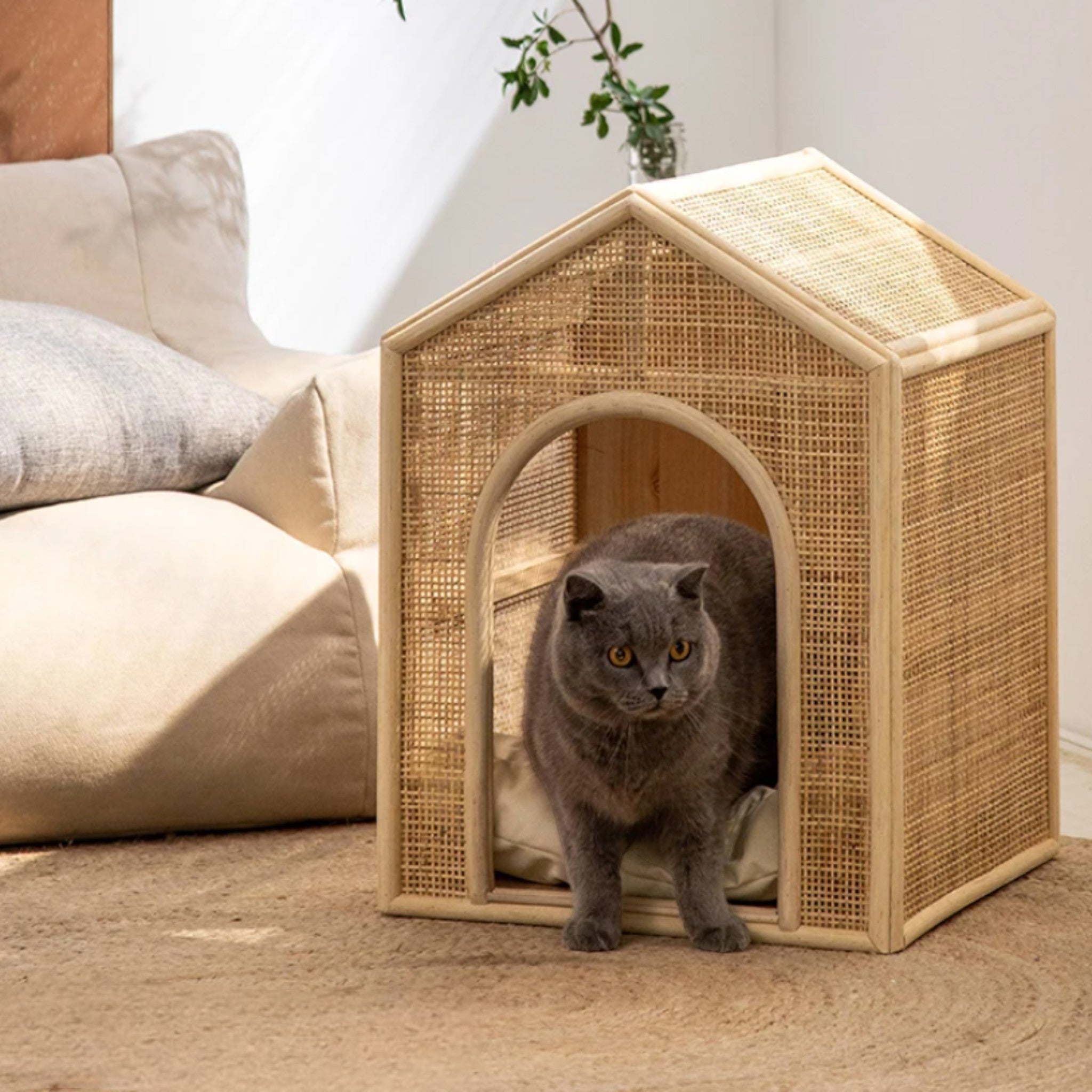 Rattan Breeze Pet House Luxe Pet Store 