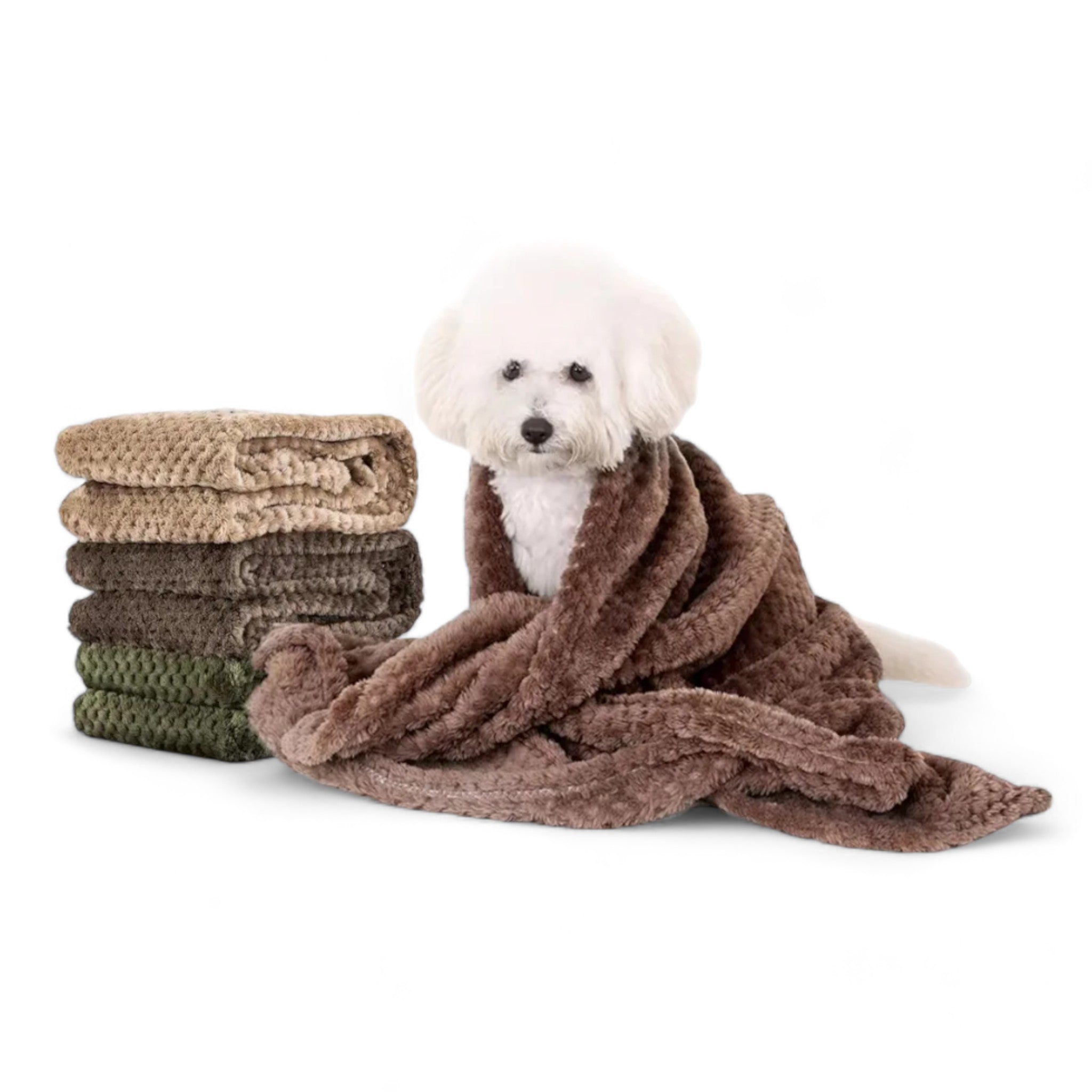 Spring Blanket Dog Clothing Luxe Pet Store 