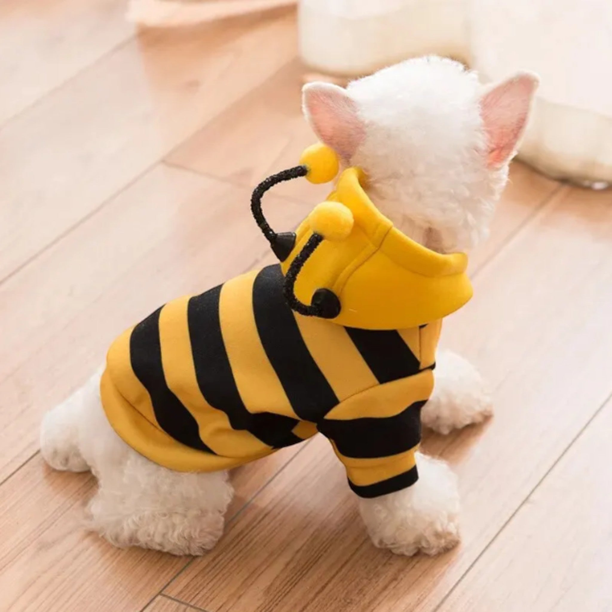 Bee Hoodie Luxe Pet Store 