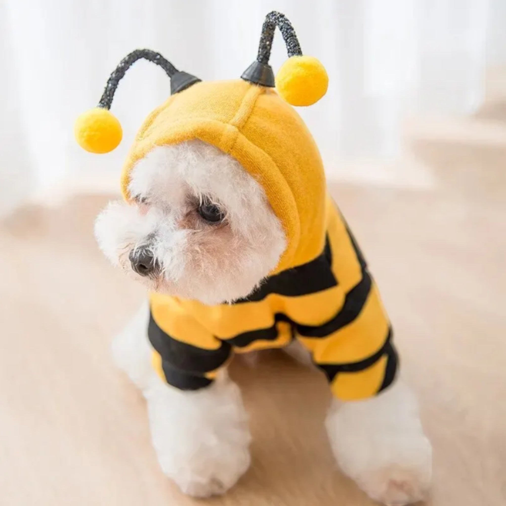 Bee Hoodie Luxe Pet Store 