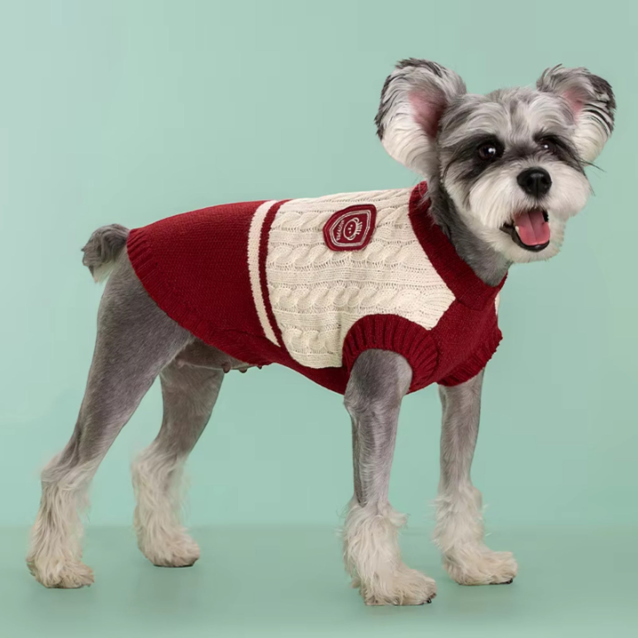 College Style Pet Sweater Luxe Pet Store 