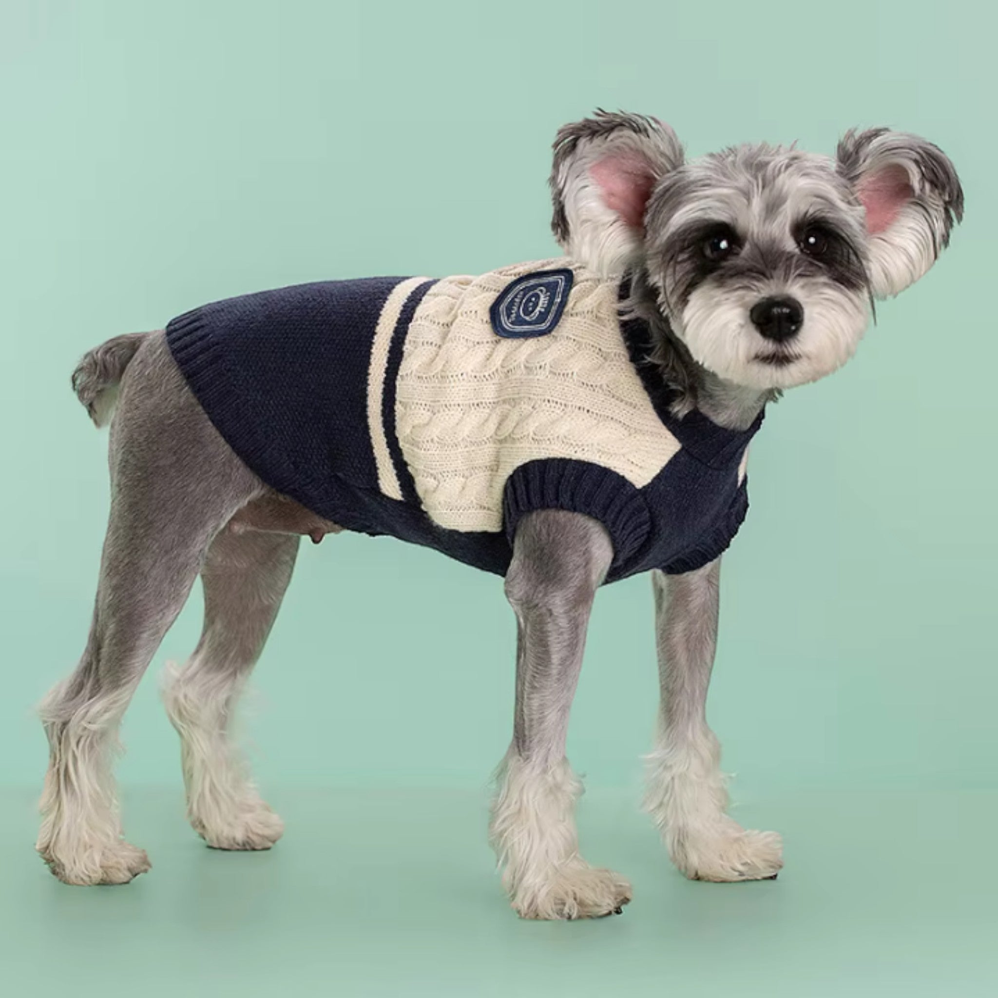 College Style Pet Sweater