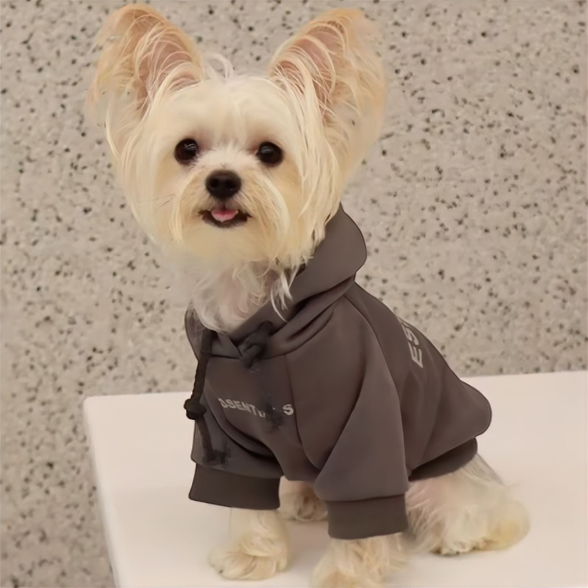 Essentials Hoodie Luxe Pet Store Grey S 