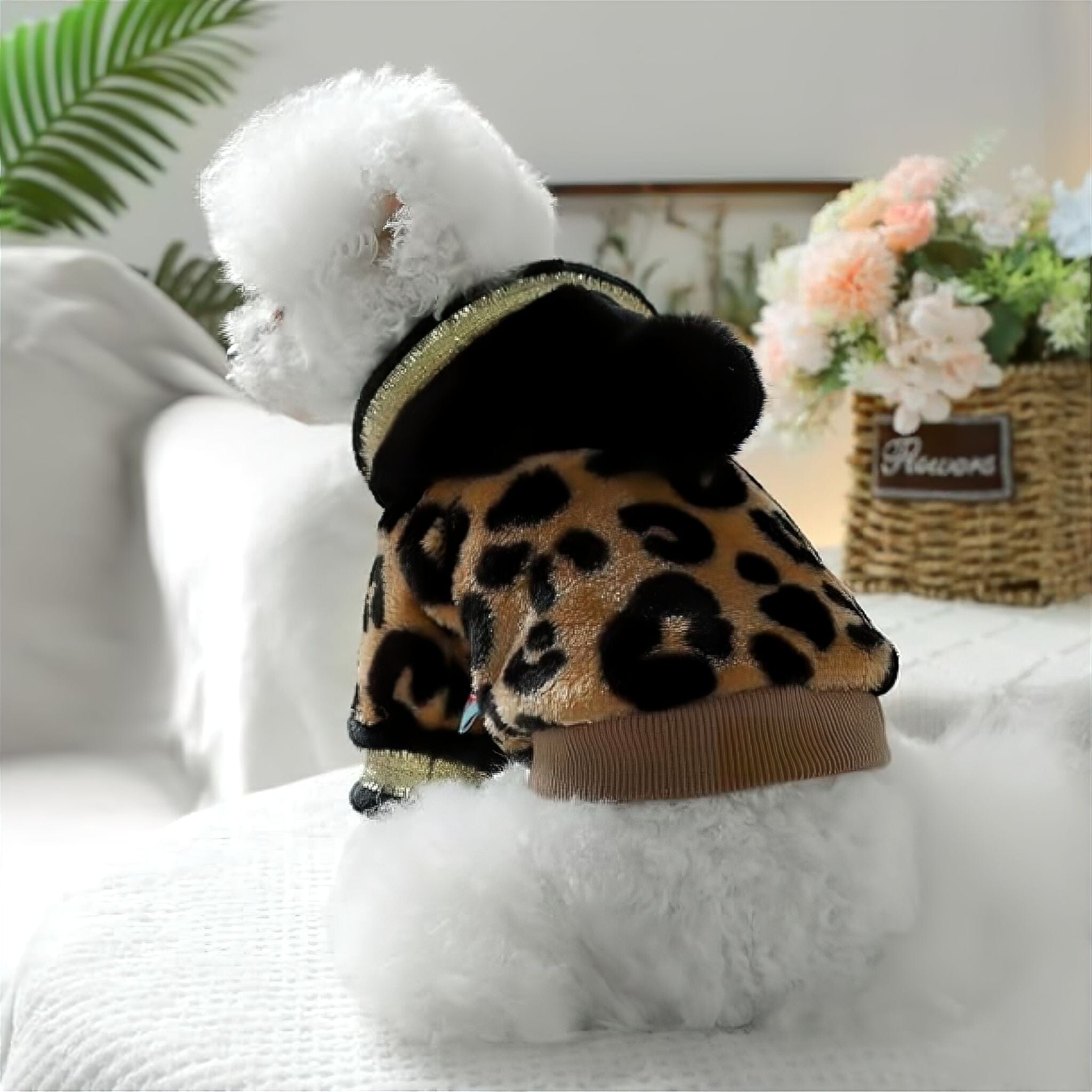 Leopard Luxe Luxe Pet Store 