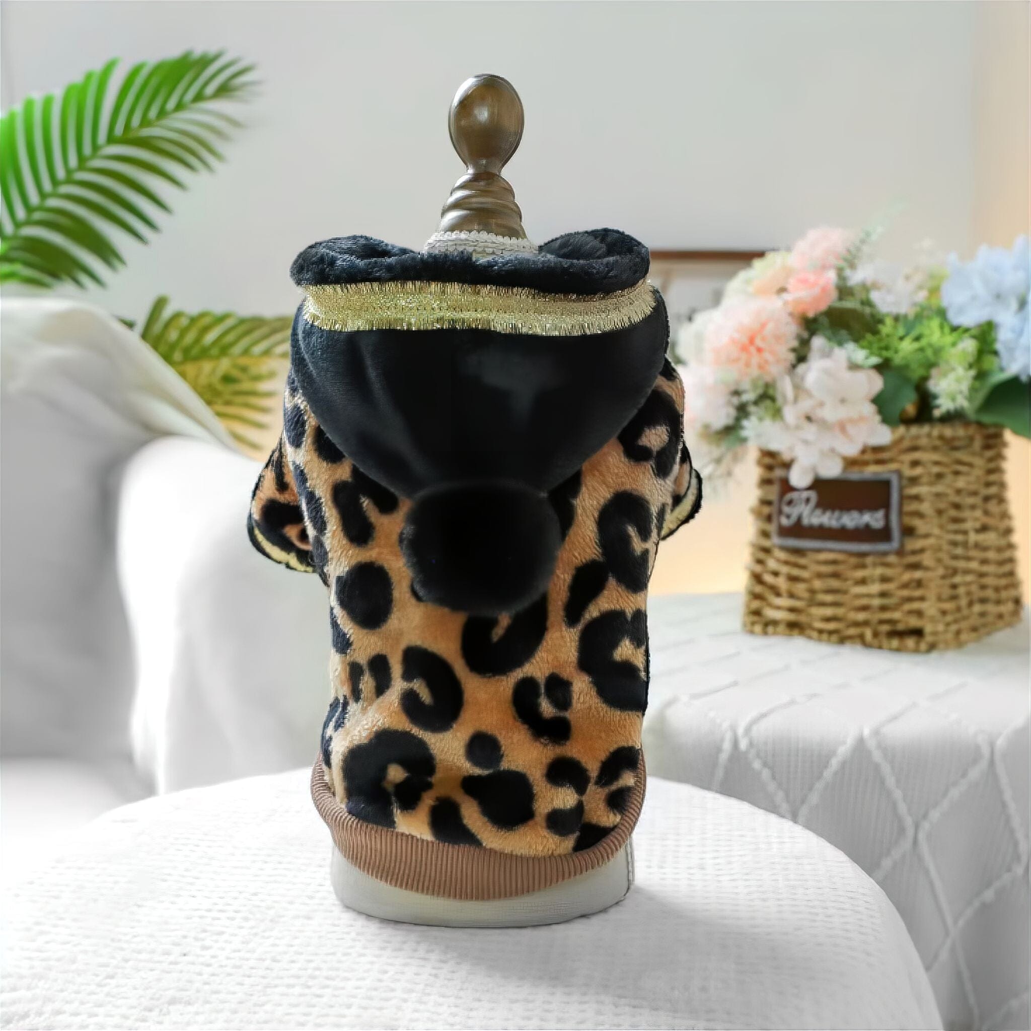 Leopard Luxe Luxe Pet Store 