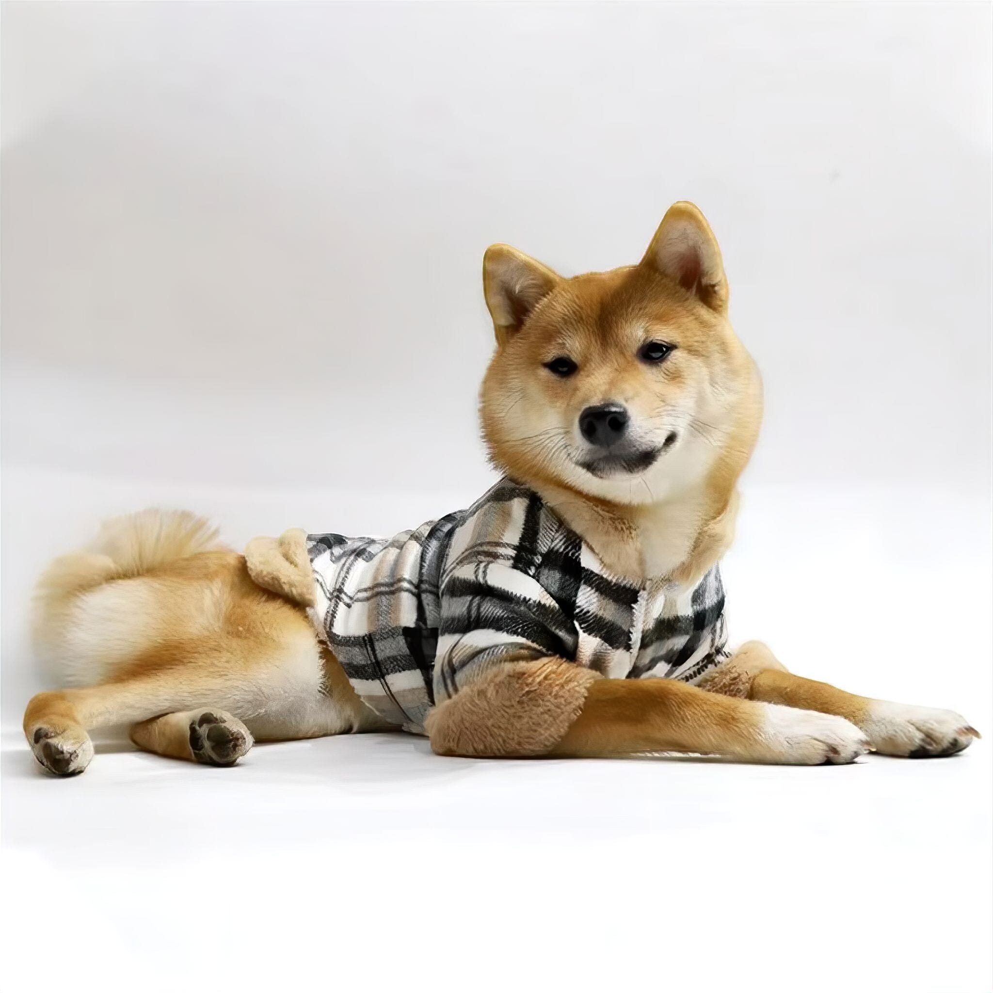 Plaid Pet Jacket Luxe Pet Store 