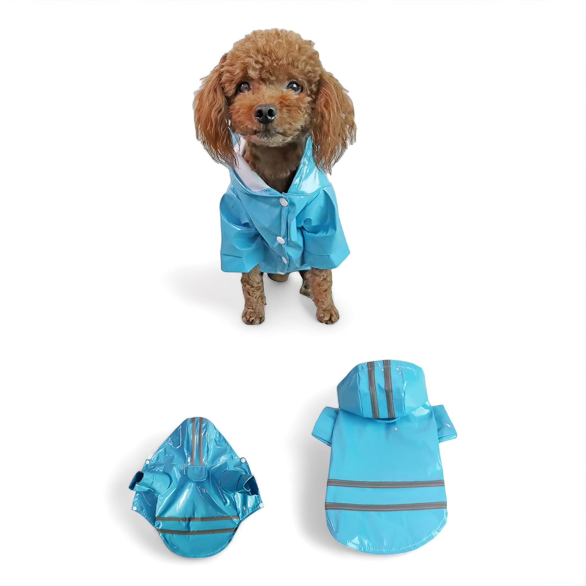 Rain Guard Luxe Pet Store Blue S 